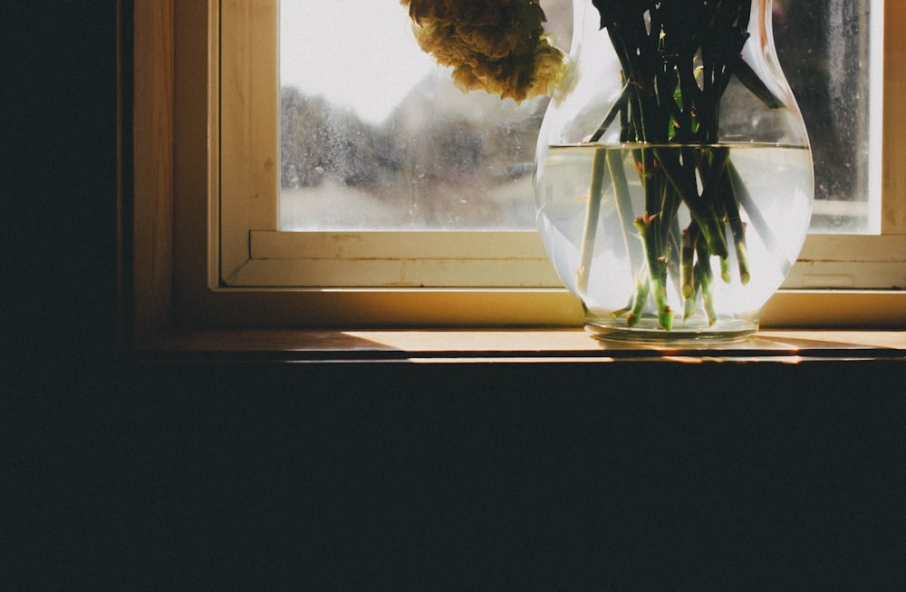 a vase filled with flowers sitting on a window sill