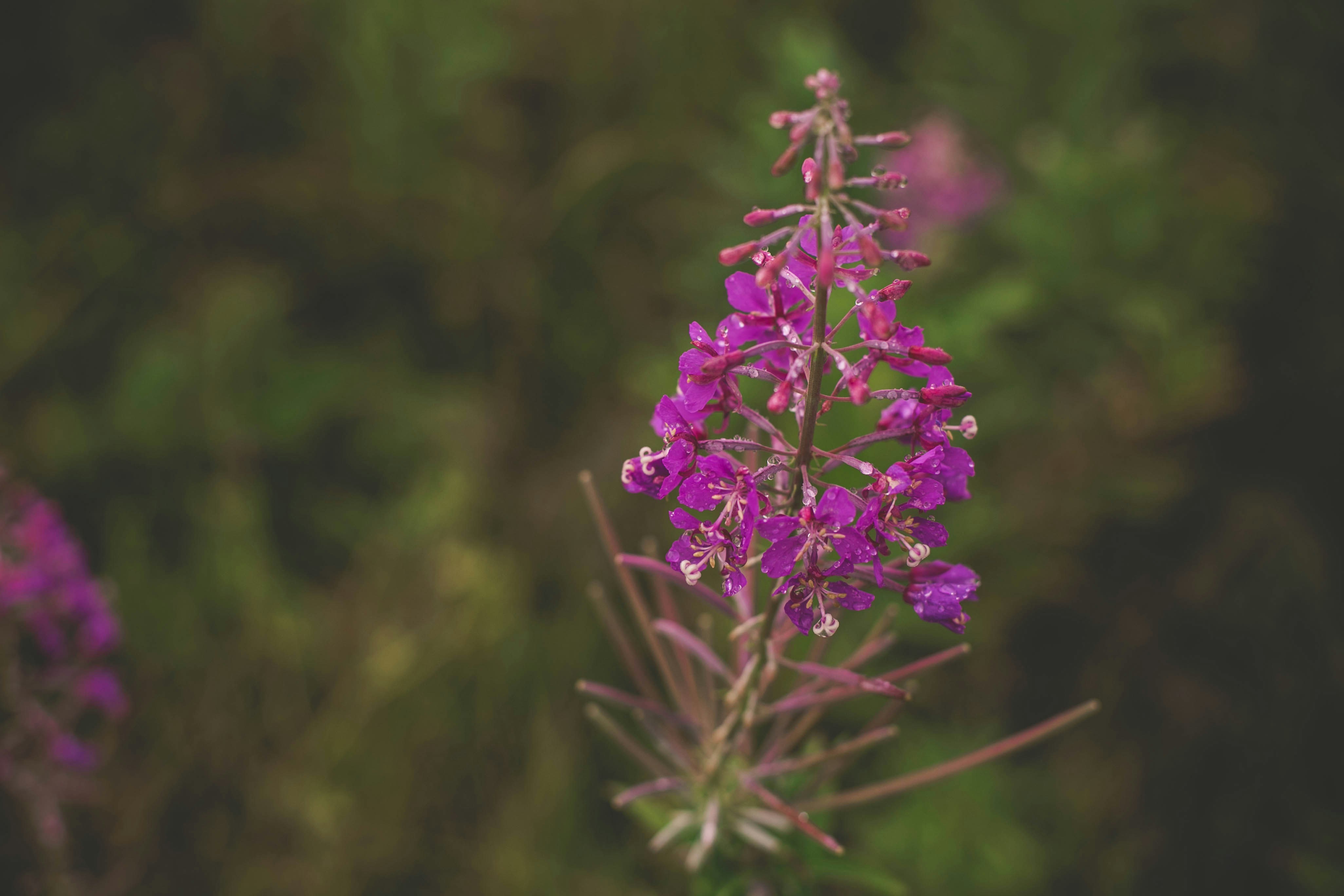 Photo by courtneykirkland