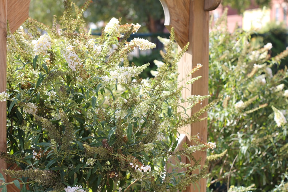 a vase of flowers sitting on top of a wooden bench