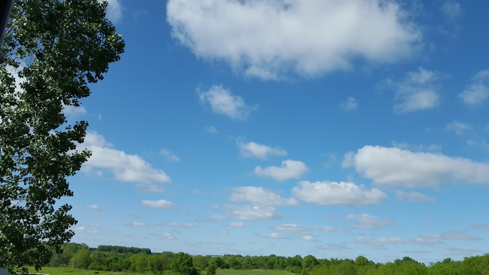 a green field with trees and clouds in the sky