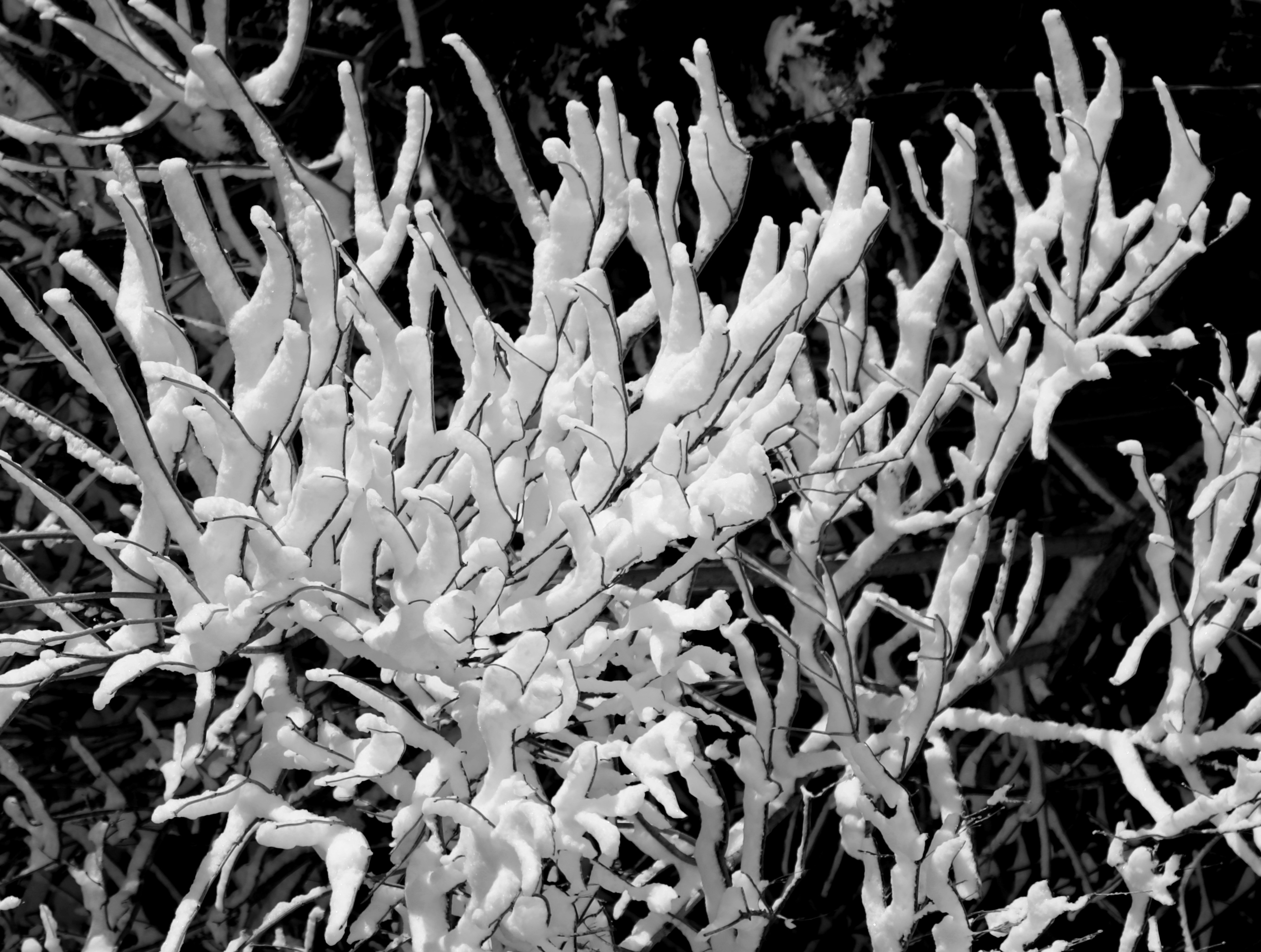 Photo by richardworks