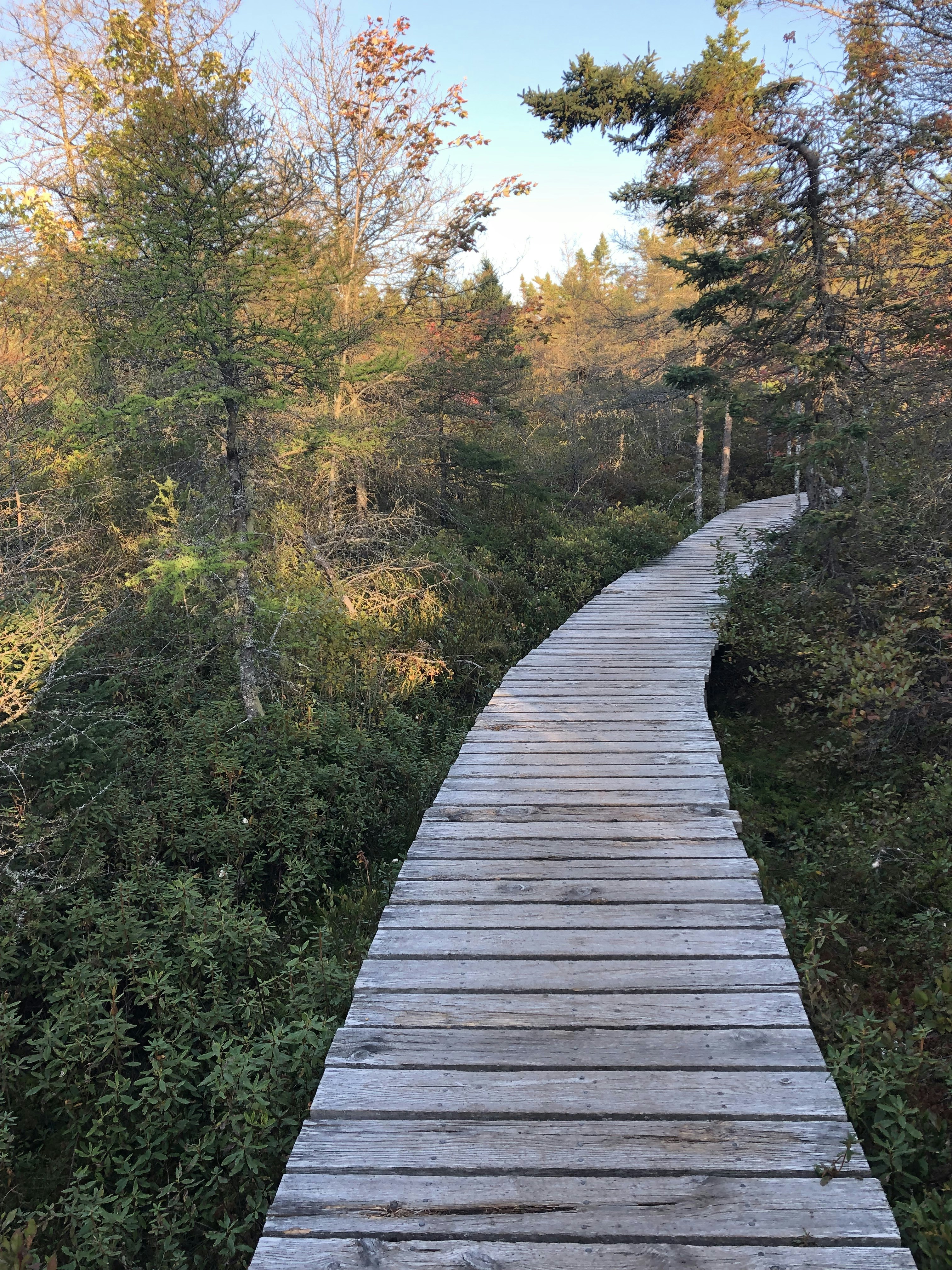 Photo by subhash000193