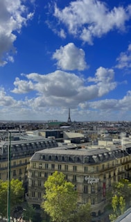 A panoramic view of Paris blending historic architecture with green urban spaces.