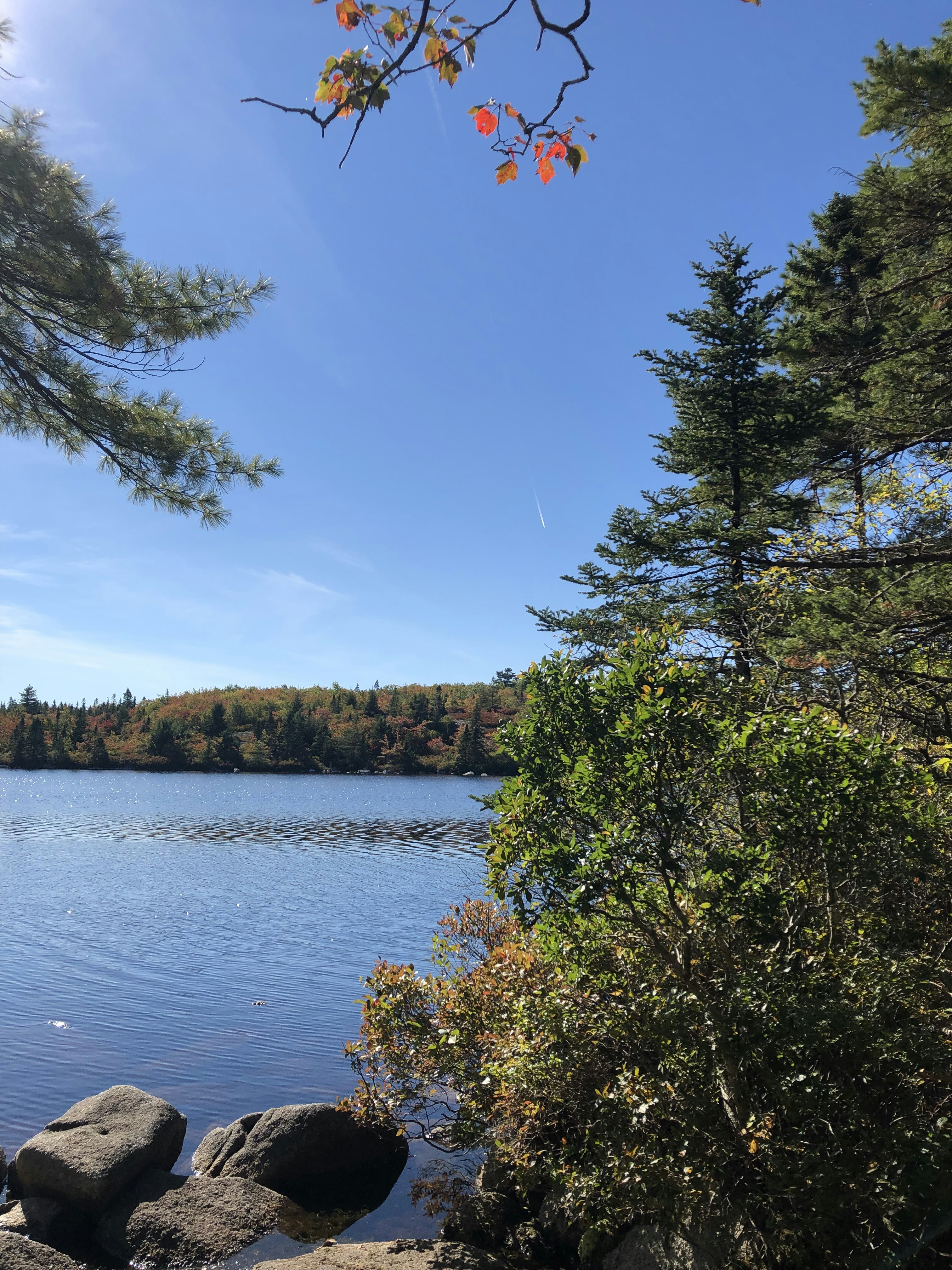 Photo by subhash000193