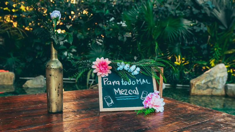 Most Aesthetic Cafes in Acapulco for Photos and Good Coffee
