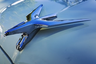 Close-up of a shiny vintage American car hood ornament reflecting the surrounding countryside.
