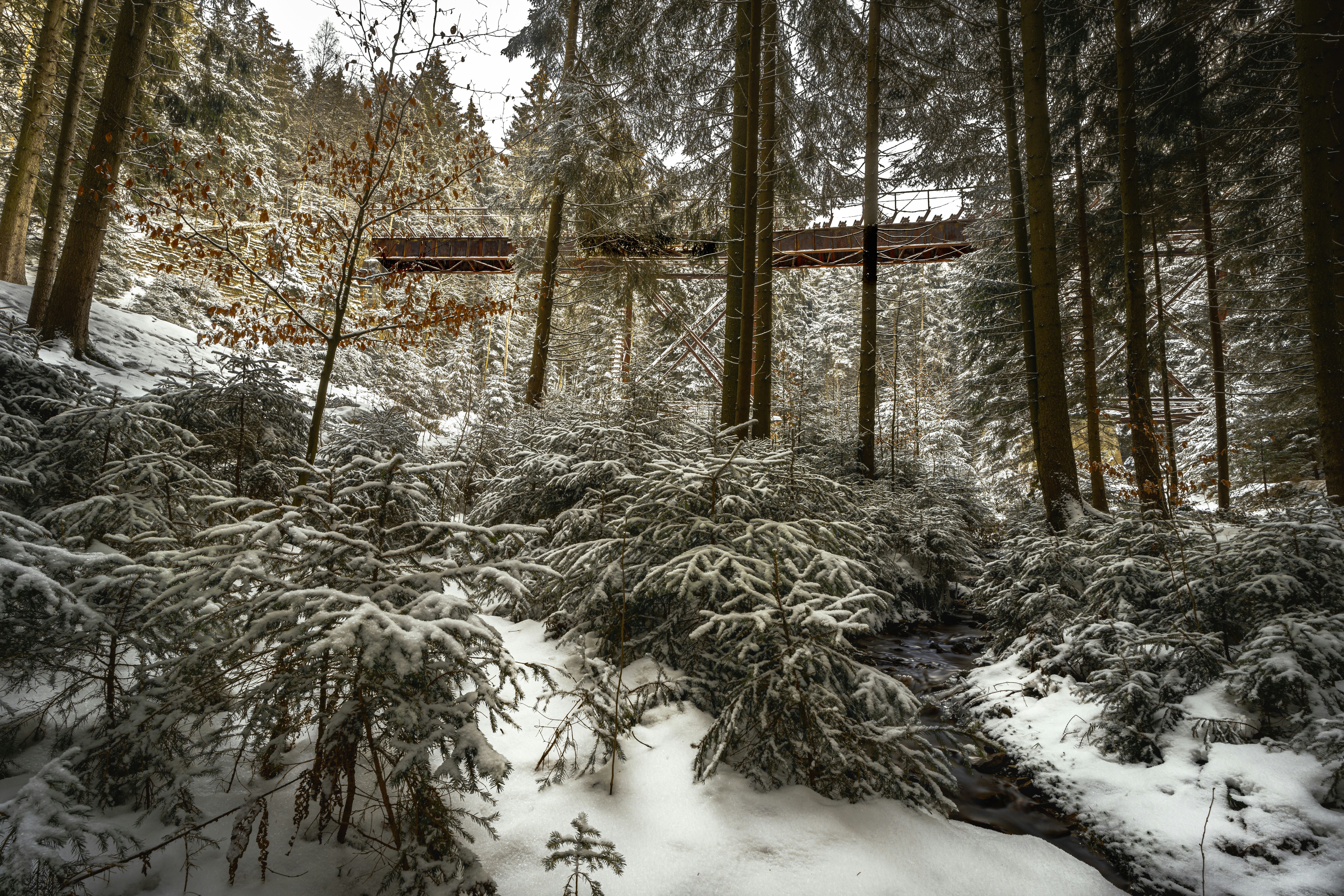 Photo by picture_scape