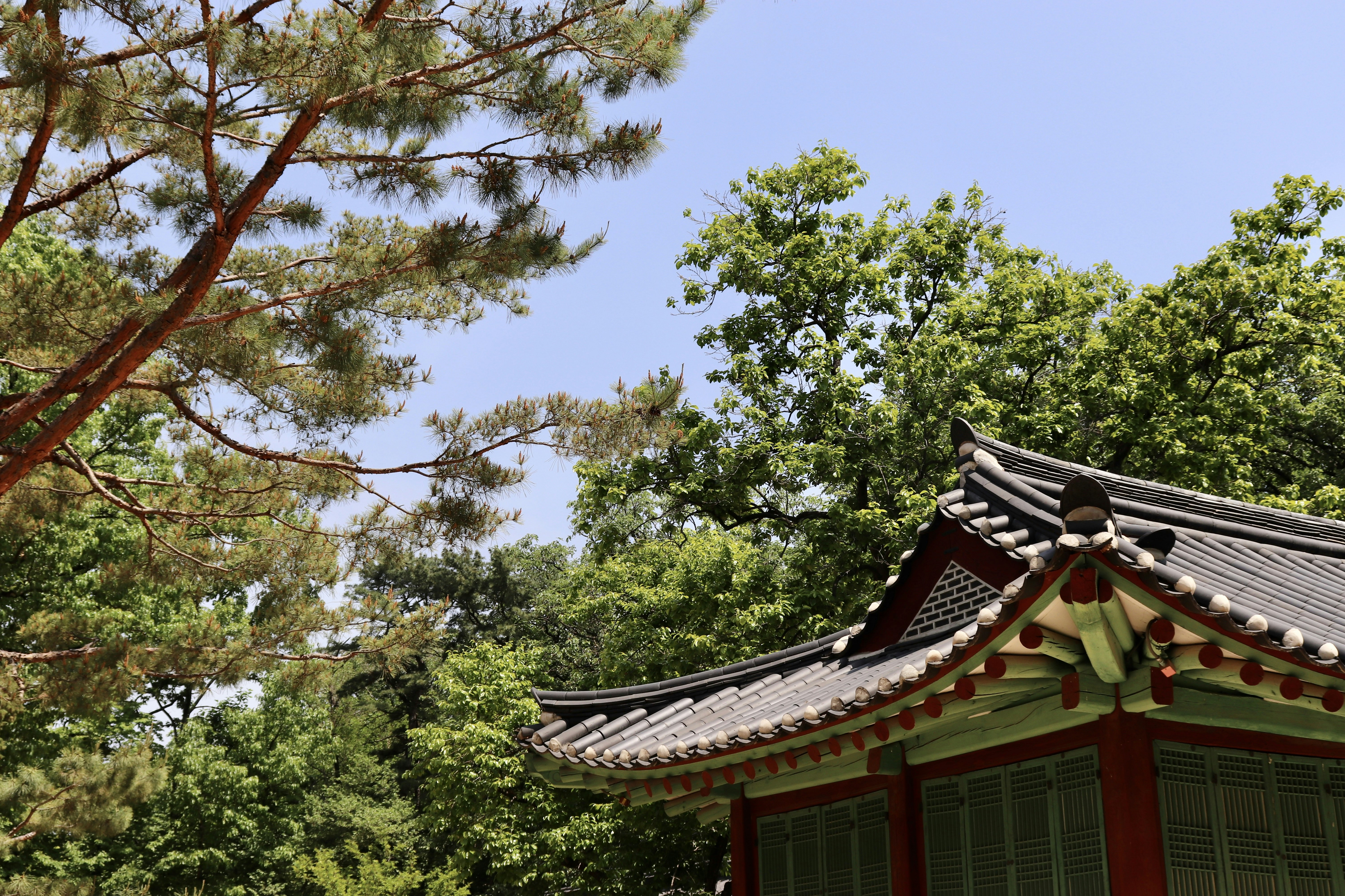 Photo by hyewonkoo