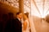 A couple stands closely together in a warmly lit hallway, with the man wearing a black suit and the woman in a white dress and veil. String lights hang above, creating a romantic ambiance with their reflection visible on the glass wall next to them.