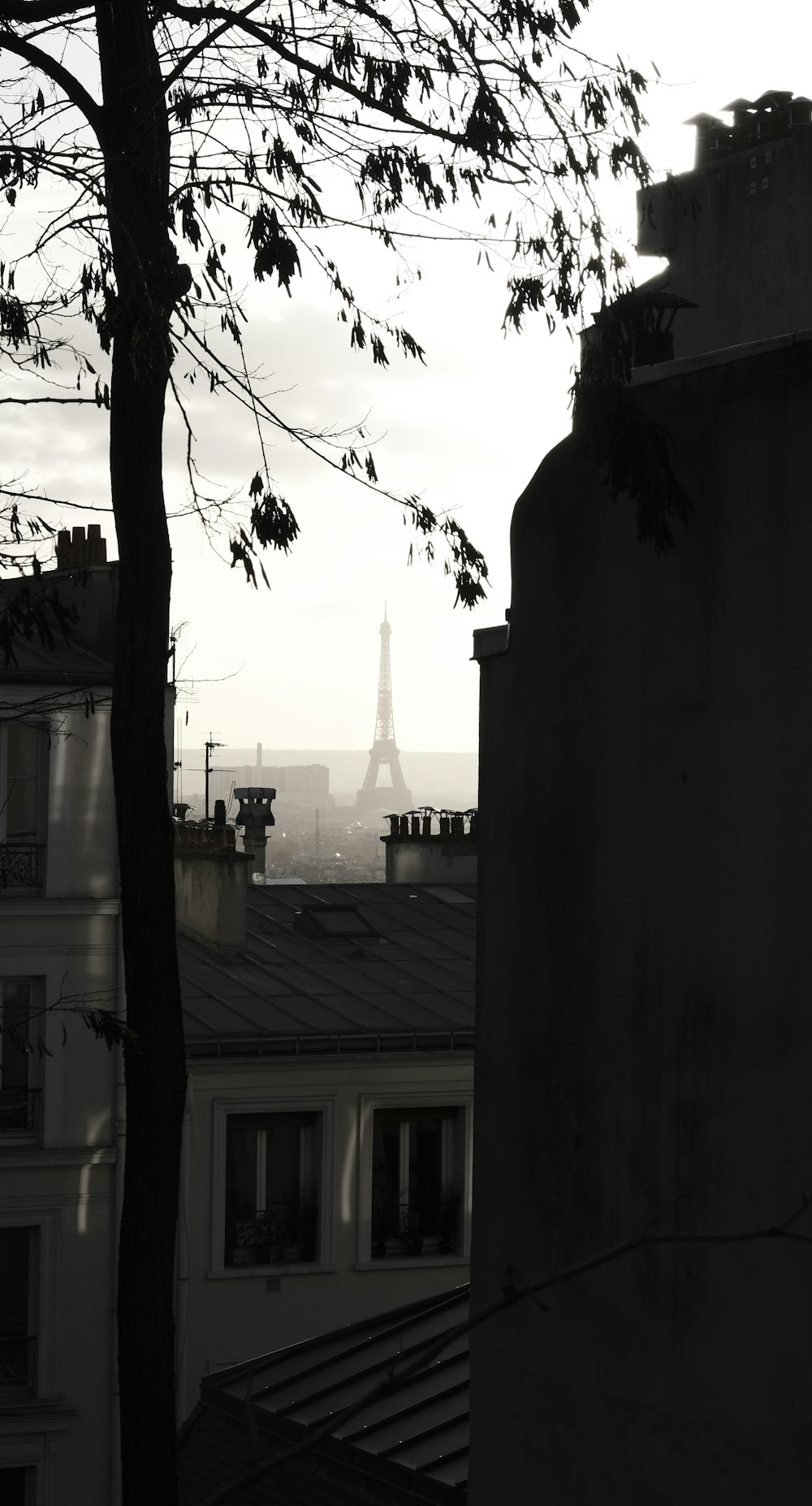 a black and white photo of the eiffel tower in the distance