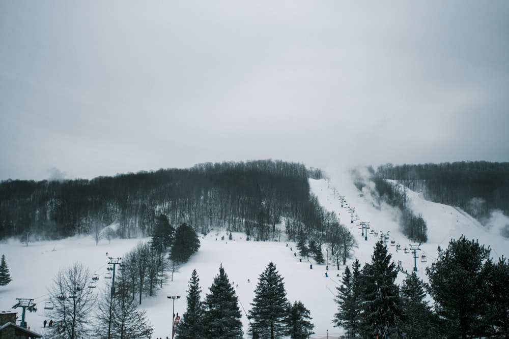 a ski slope covered in snow surrounded by trees