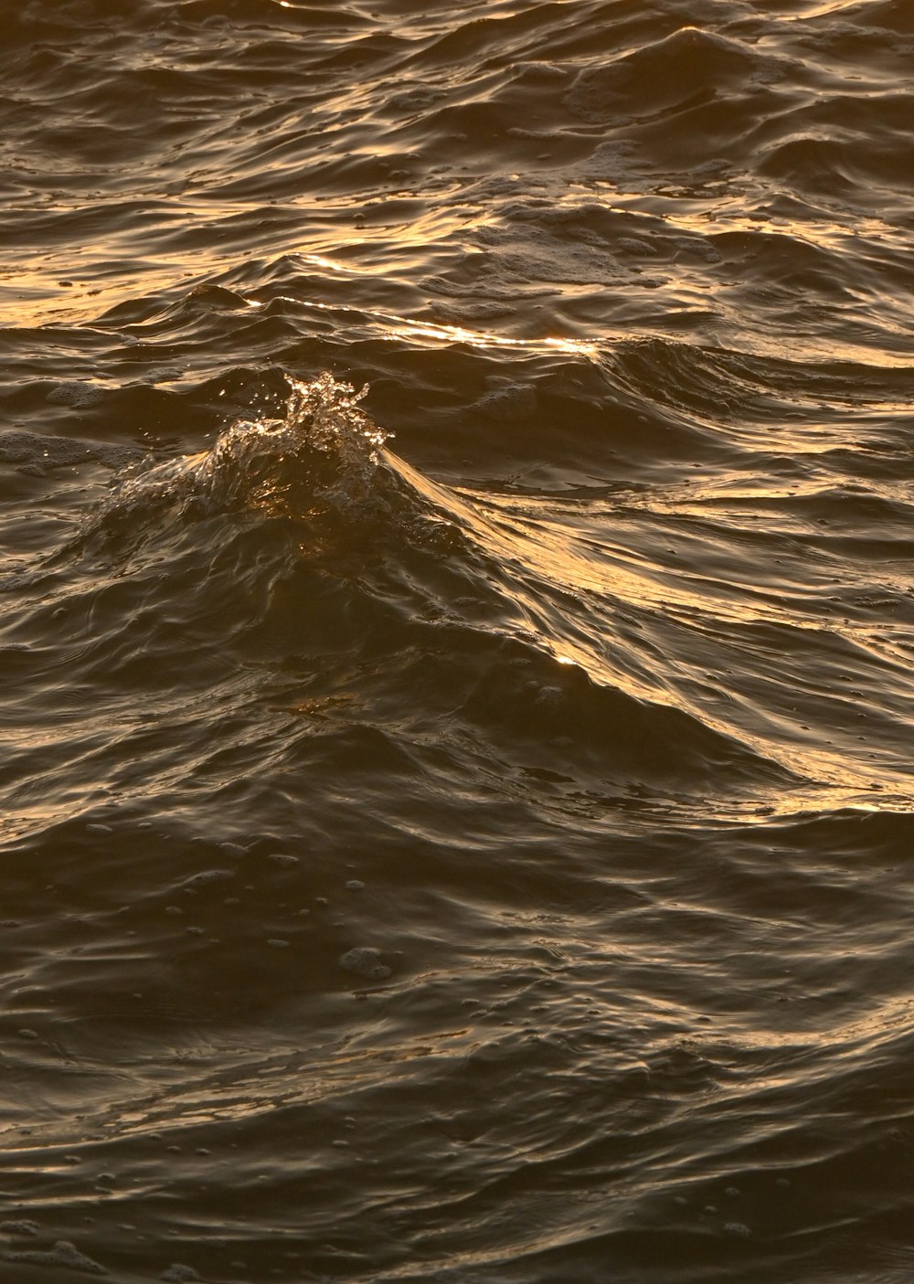 a person riding a surfboard on top of a body of water