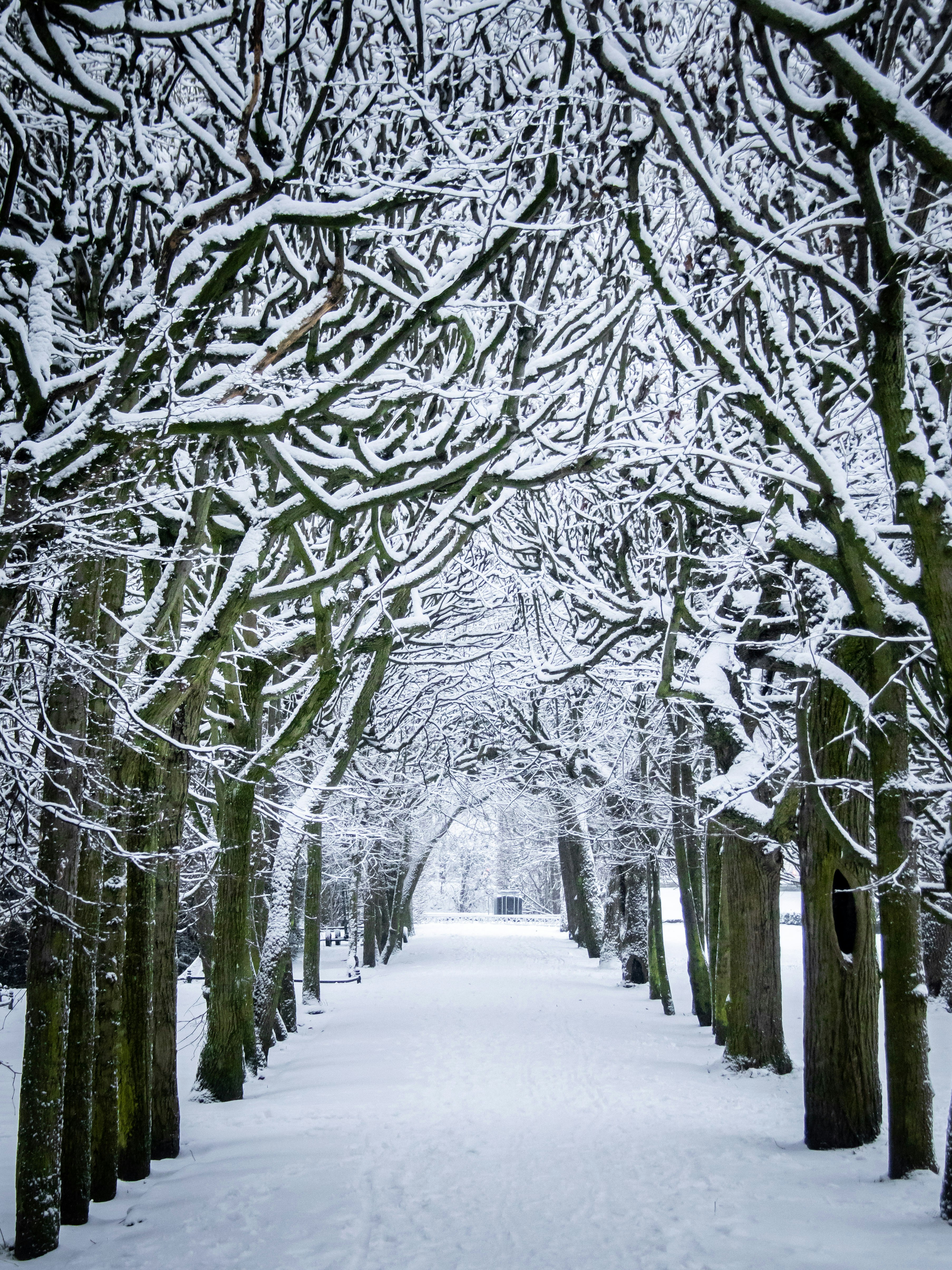 Photo by damiankarpinski_photo