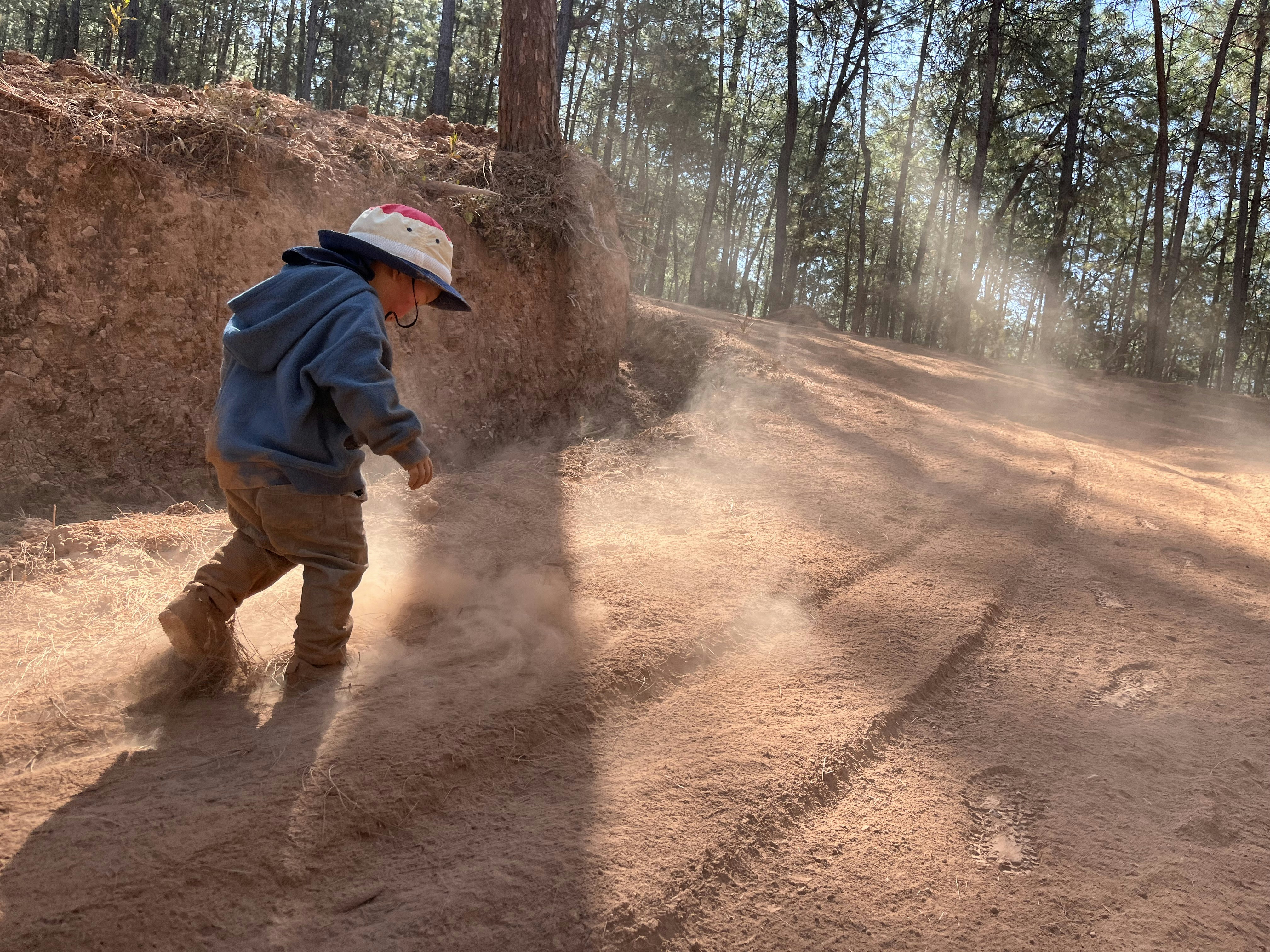 Cozy Woodland Hoodie