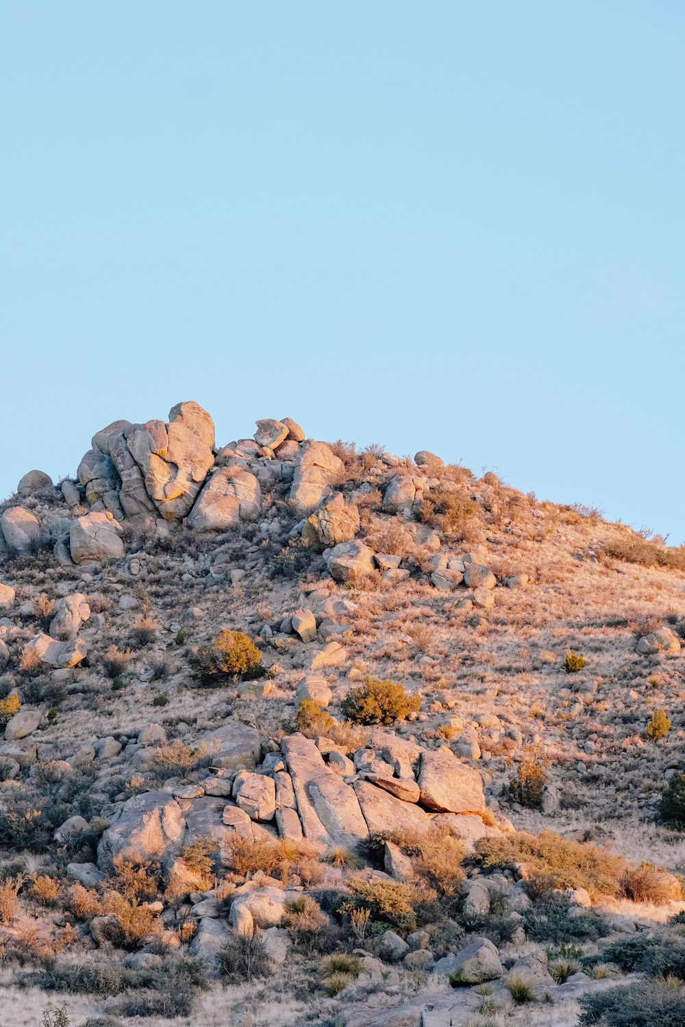 a mountain with rocks and plants on top of it