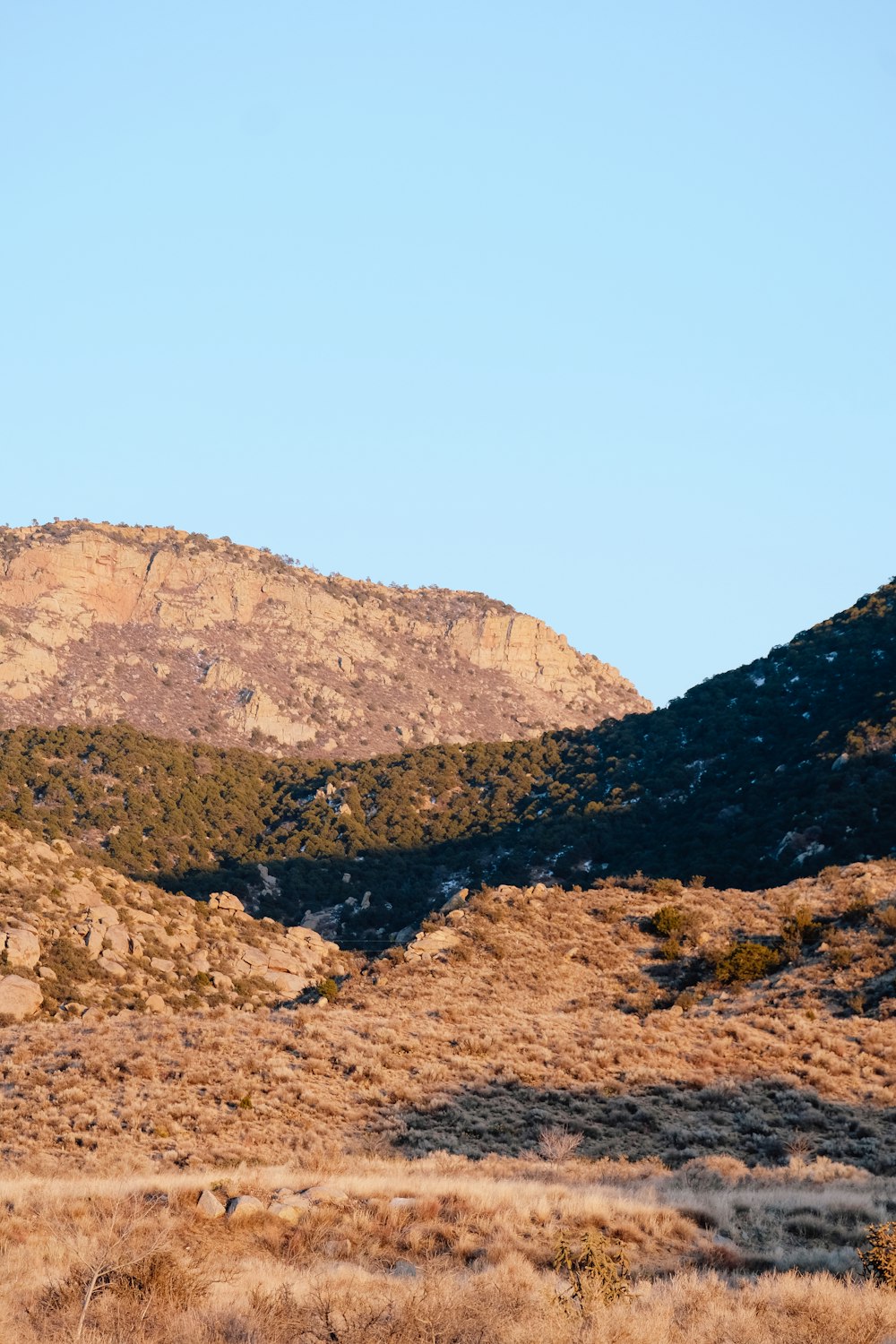 a lone horse standing in a field with mountains in the background