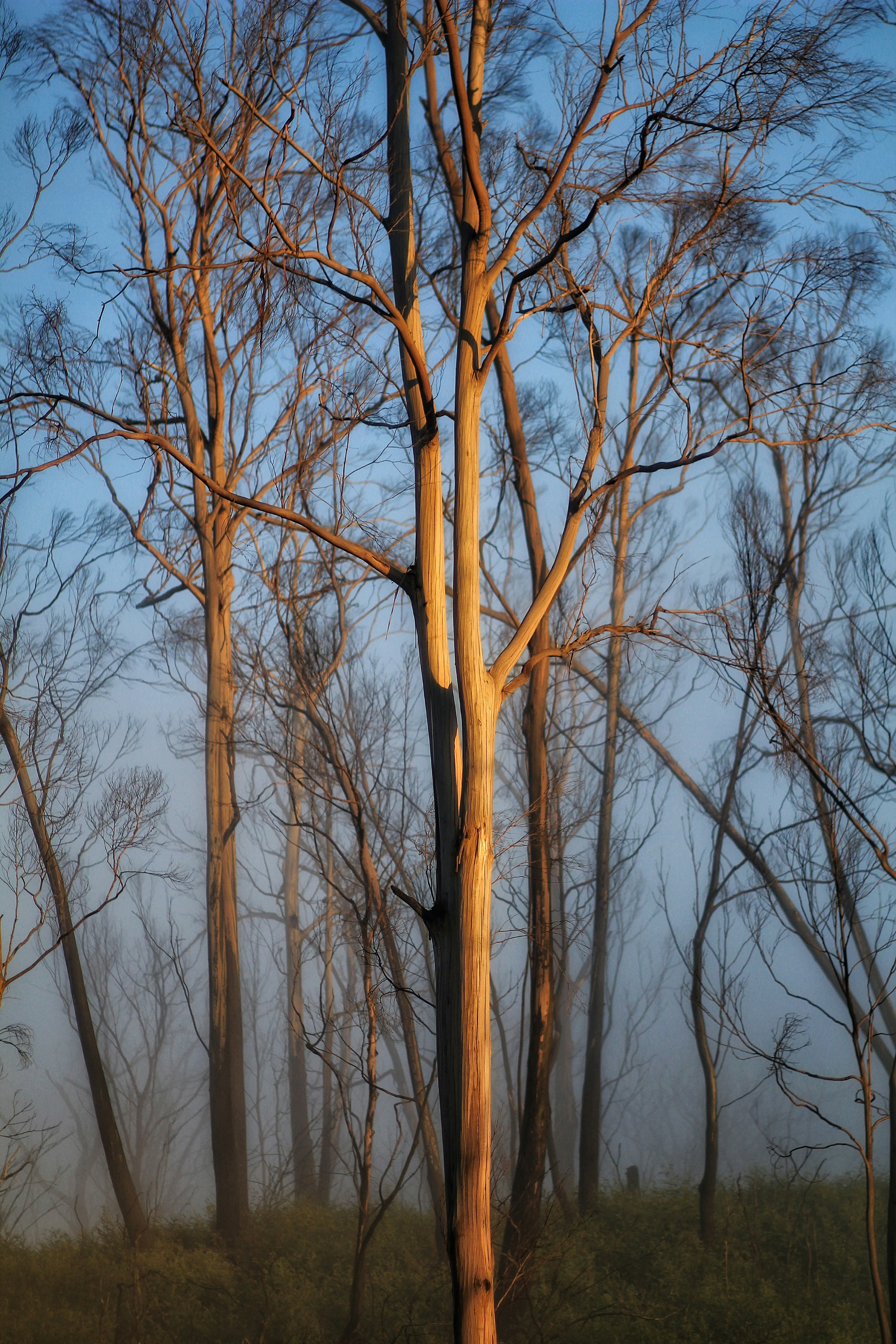 Photo by frasersurname