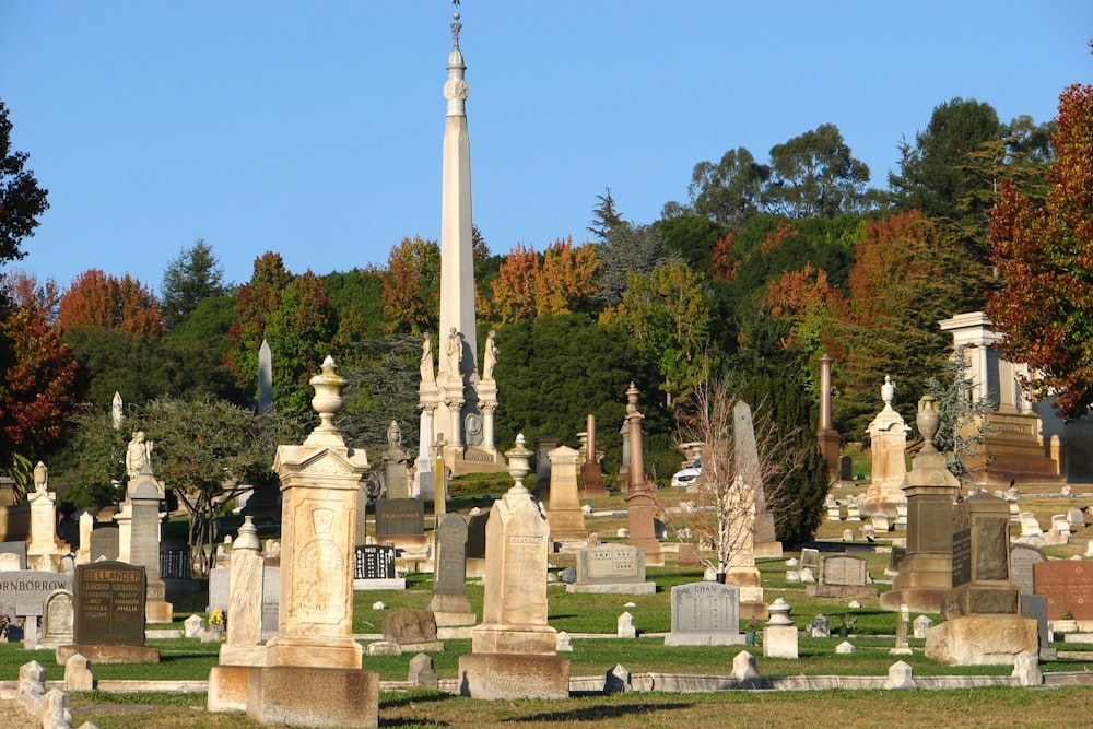 a cemetery with many headstones and trees in the background