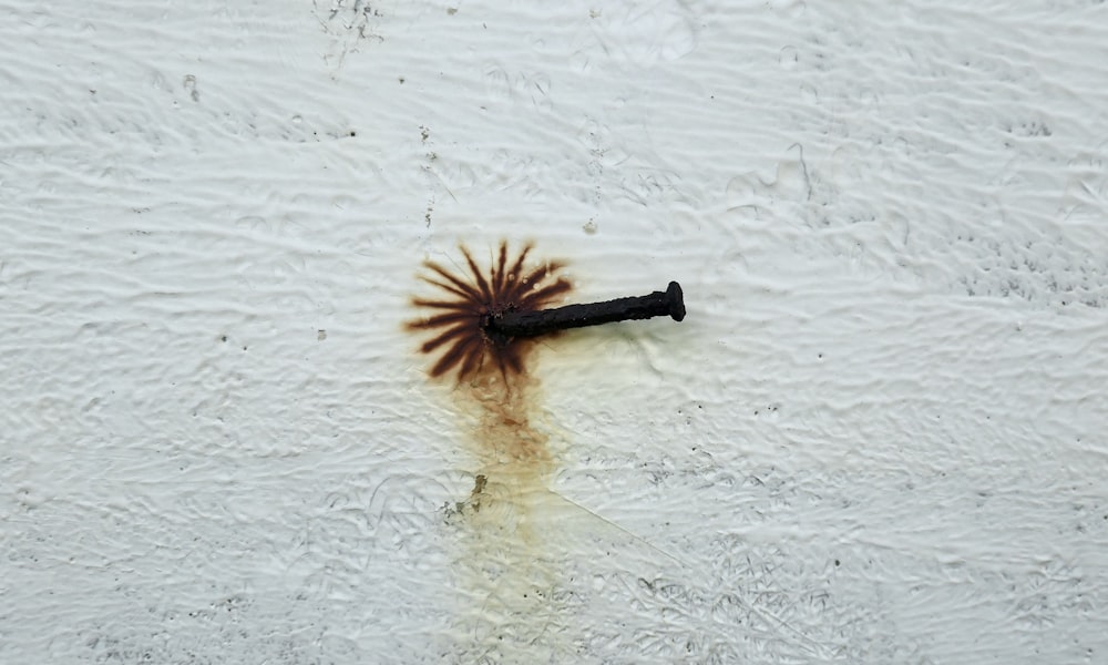 a rusted nail on the side of a white wall