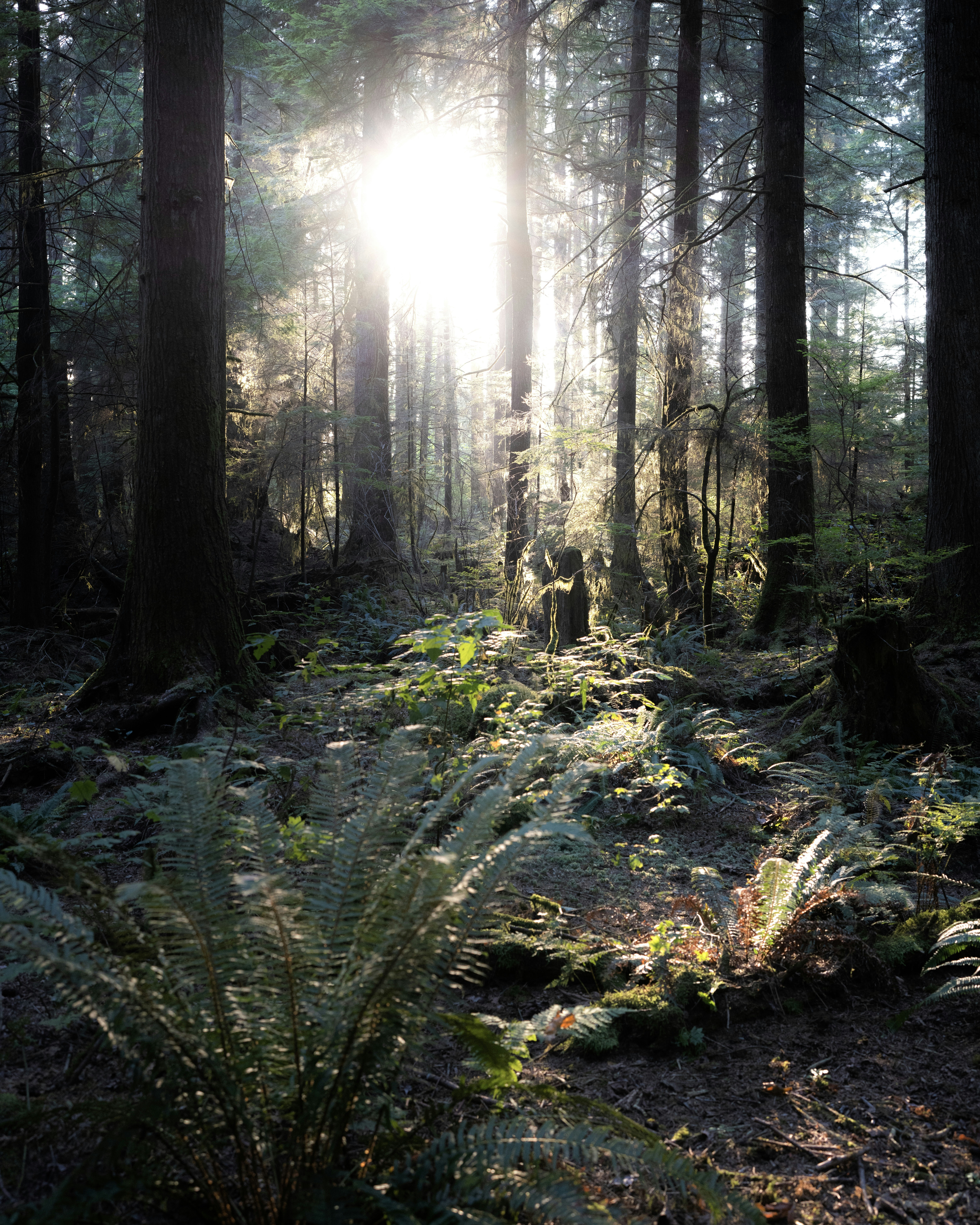 Photo by arianmontazeri