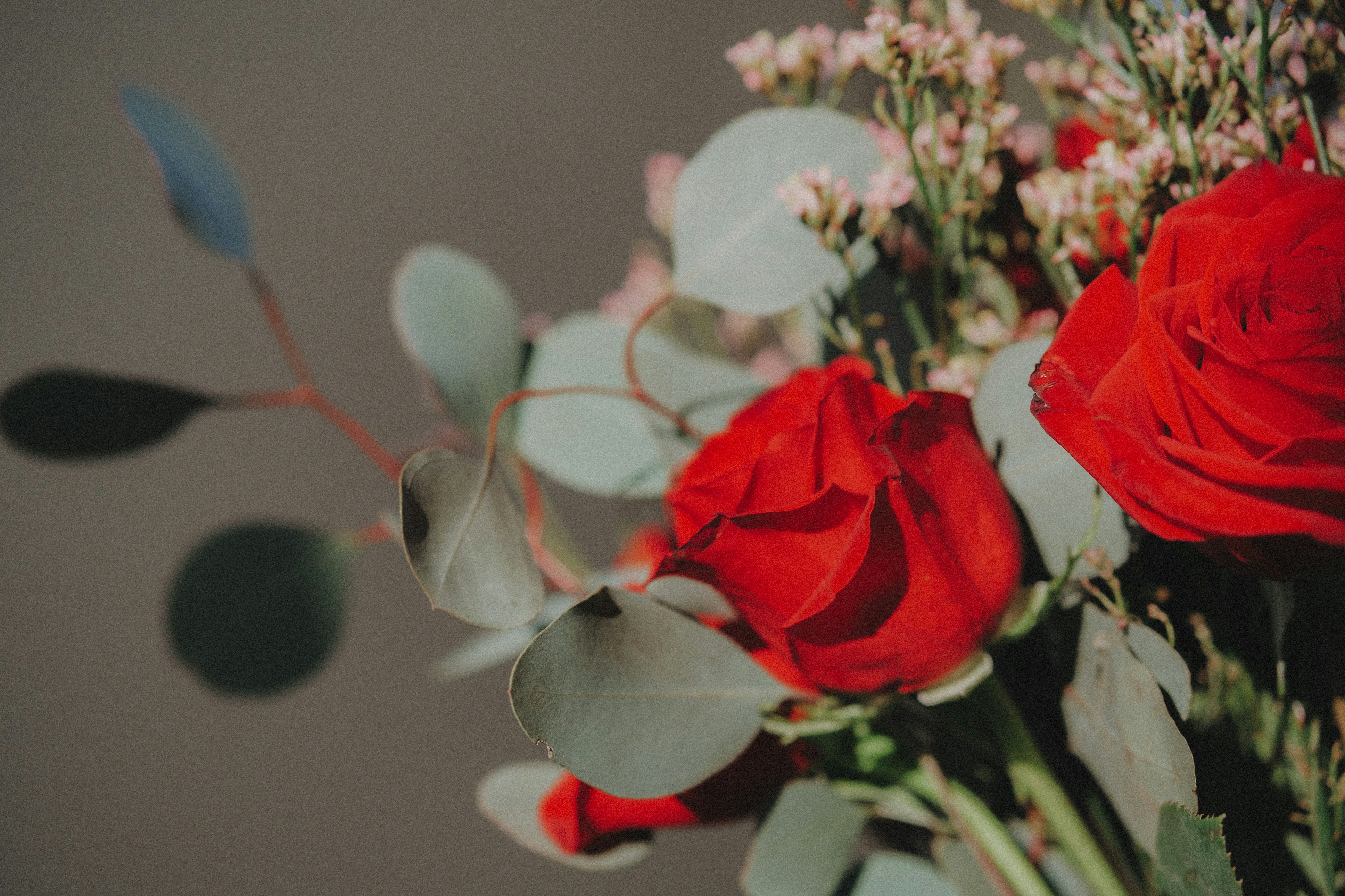 Photo by marsupialpudding