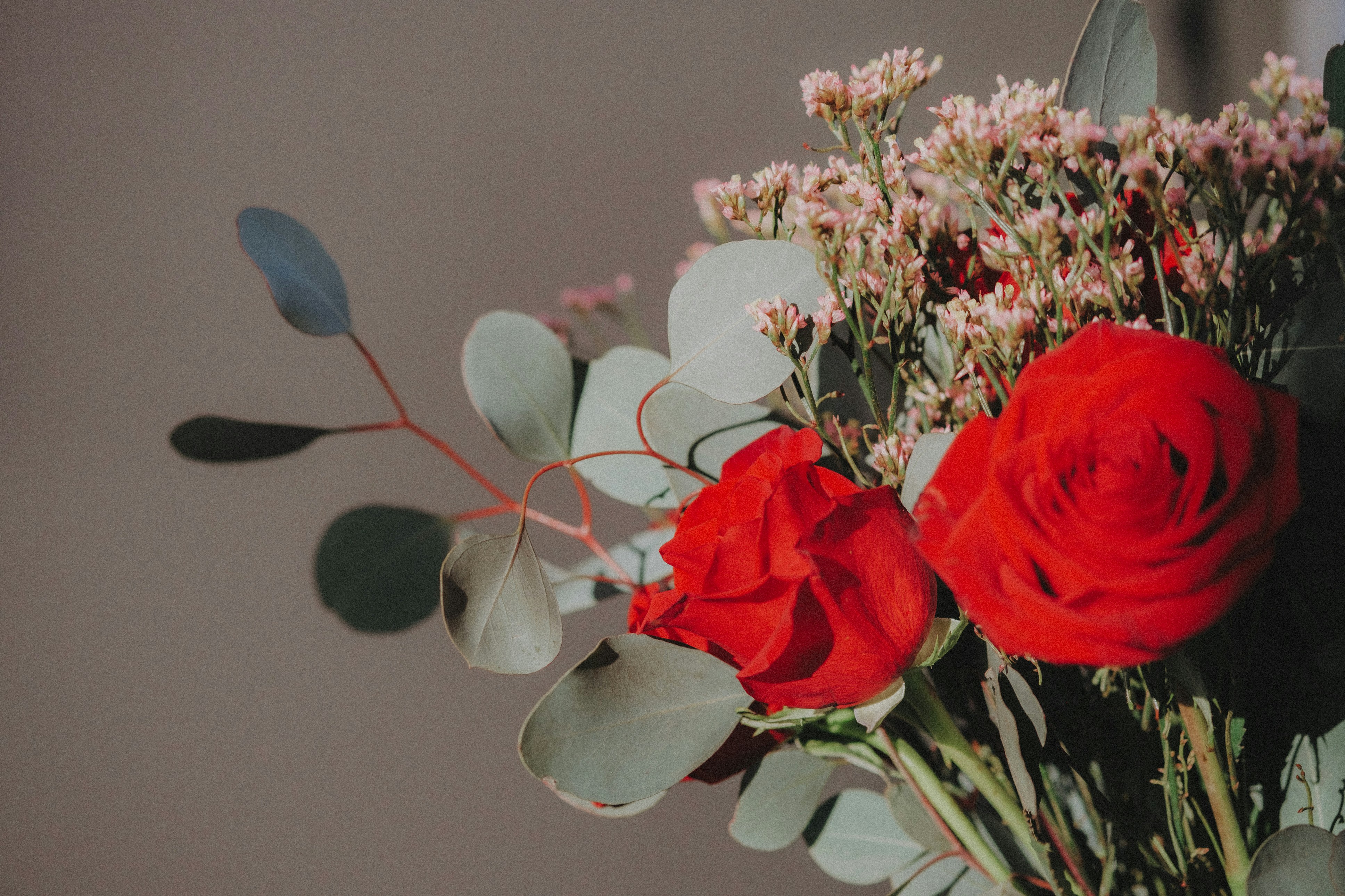 Photo by marsupialpudding