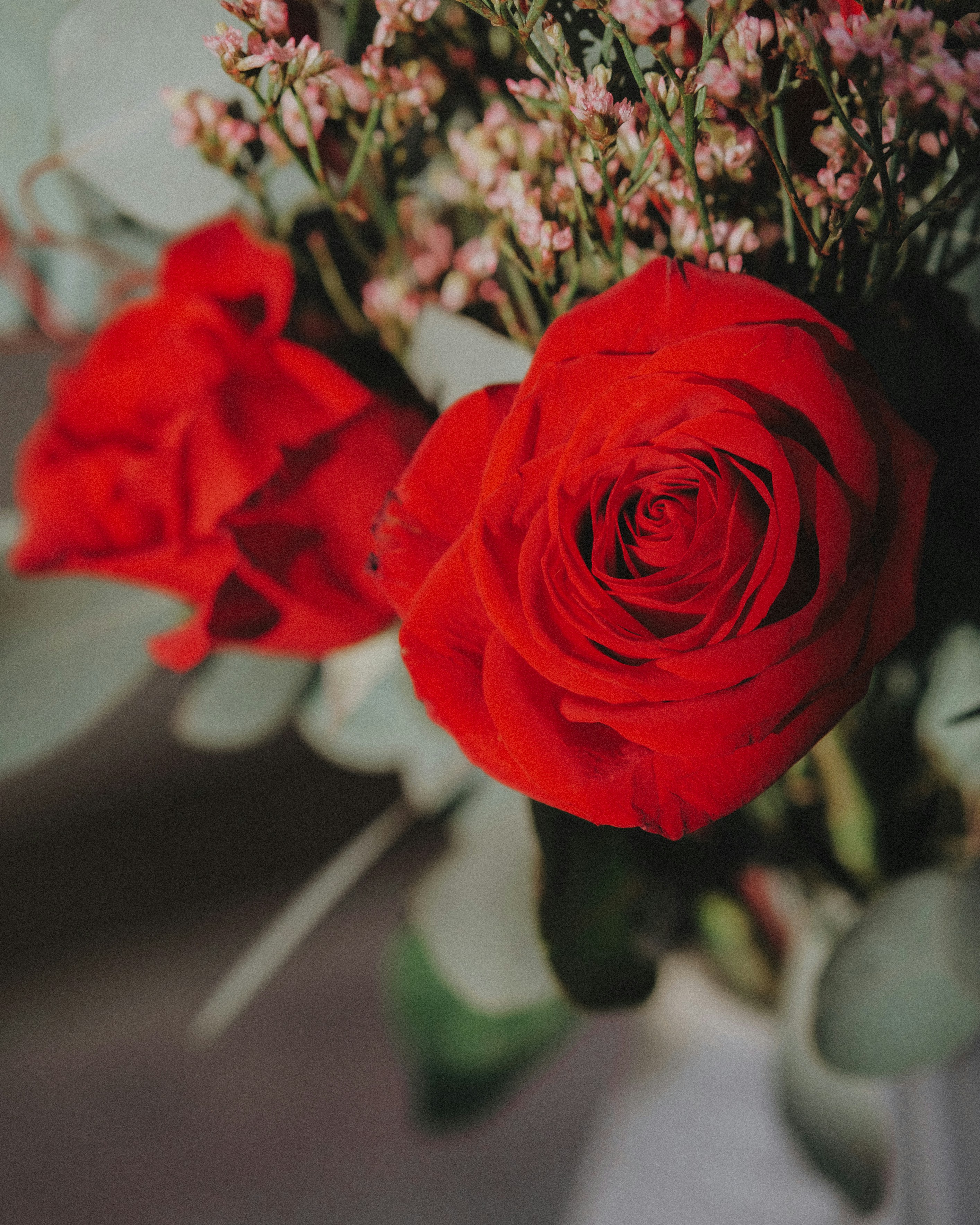 Photo by marsupialpudding