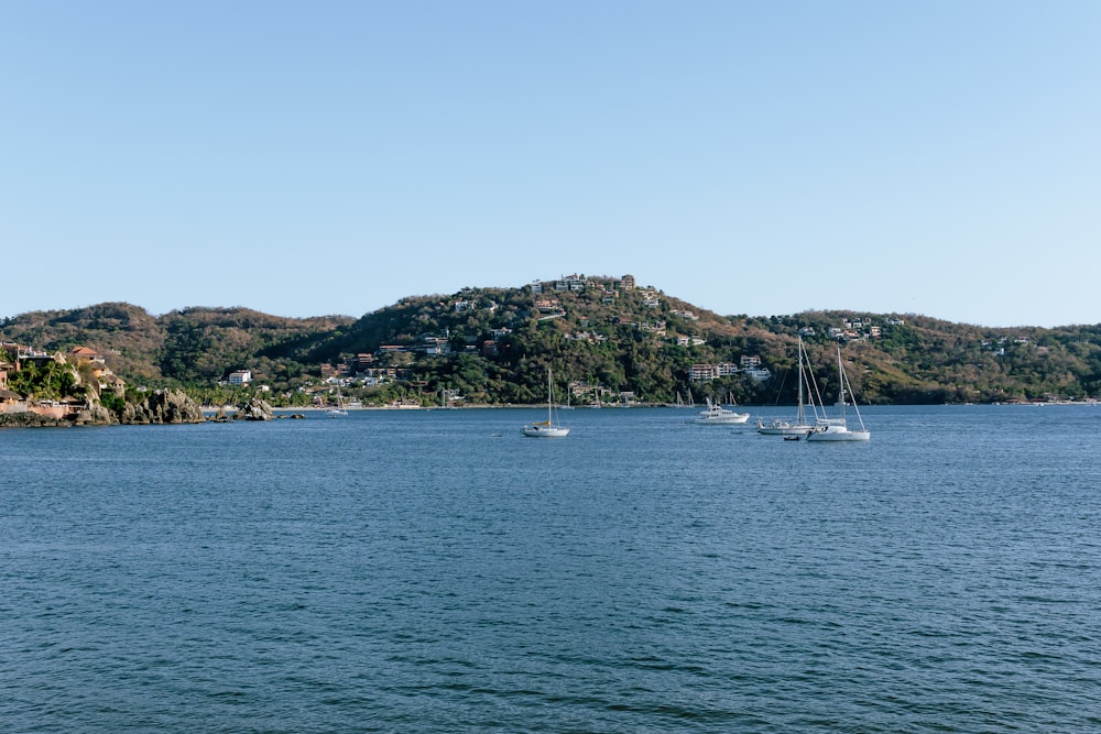 a group of boats floating on top of a large body of water