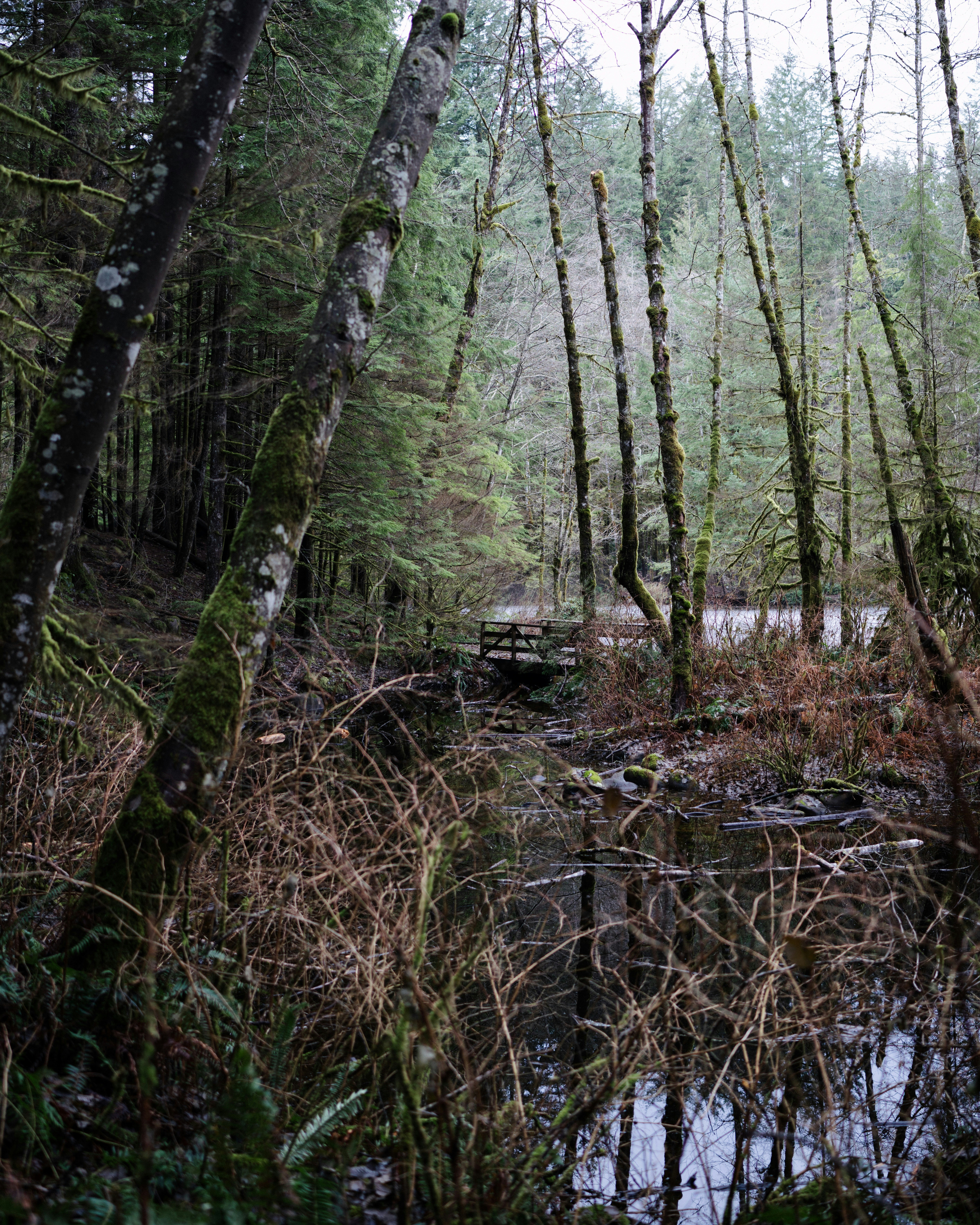 Photo by arianmontazeri