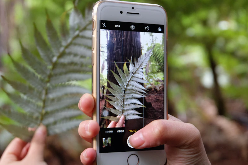Plant Dr — AI diagnosis for plant problems