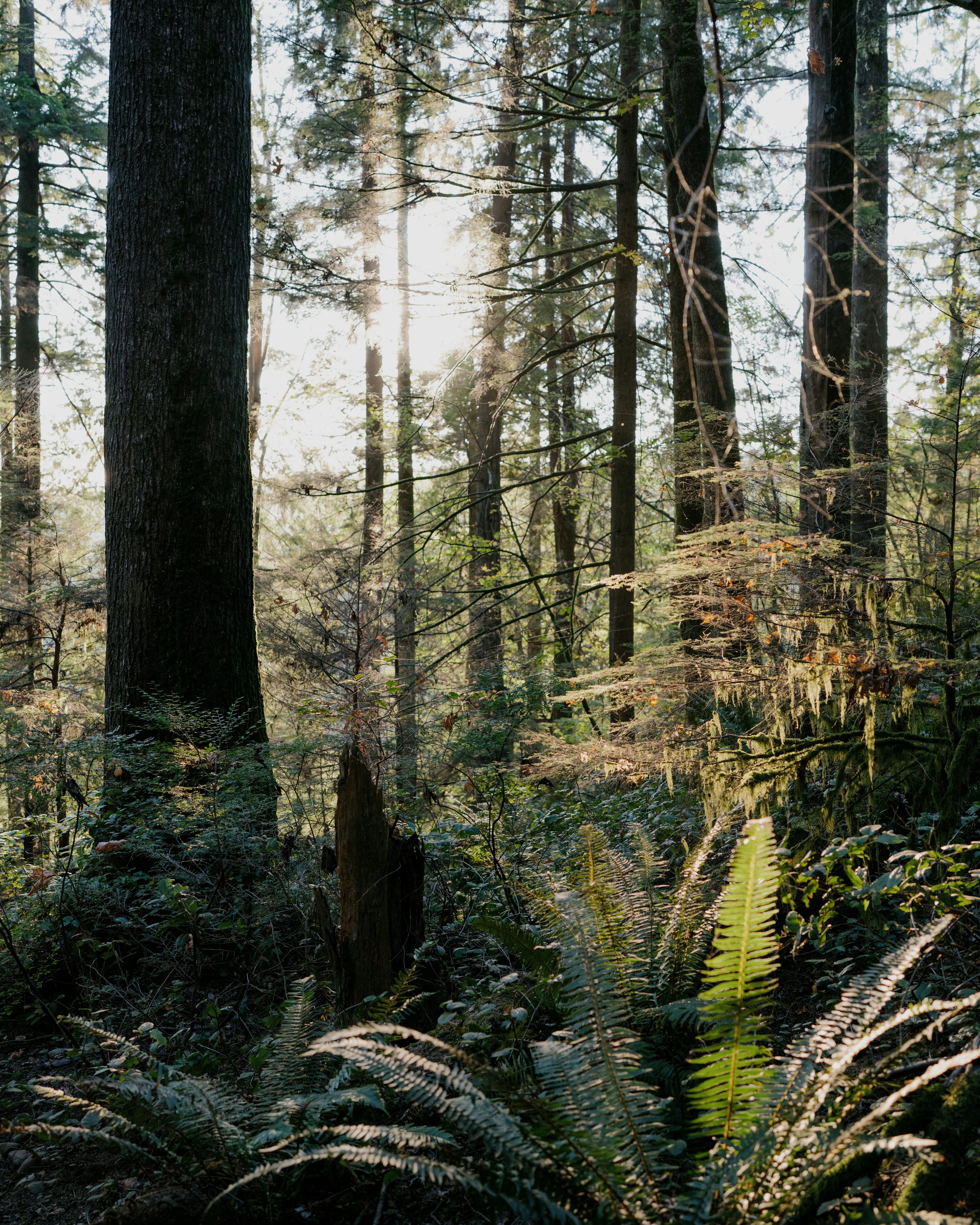 Photo by arianmontazeri