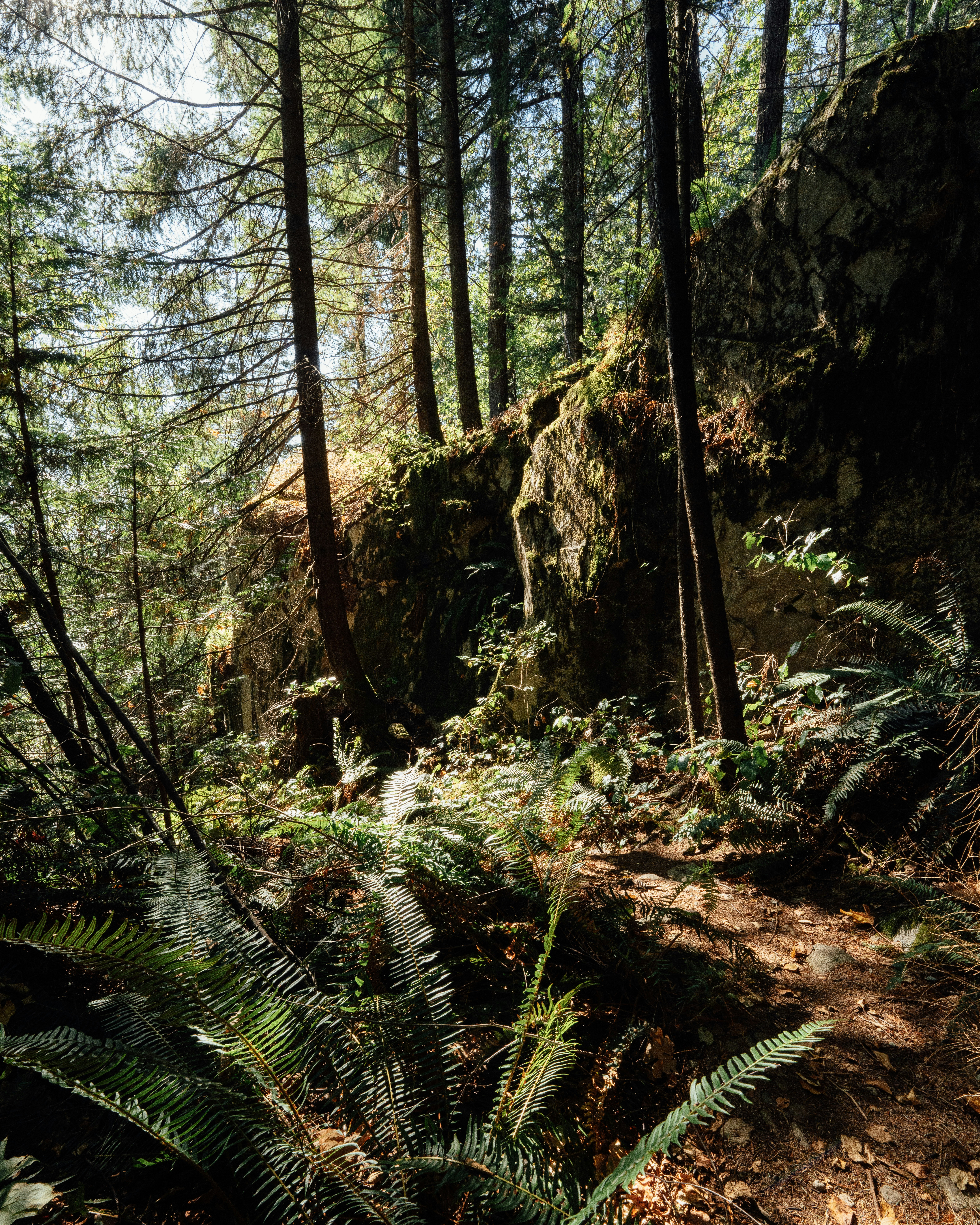 Photo by arianmontazeri