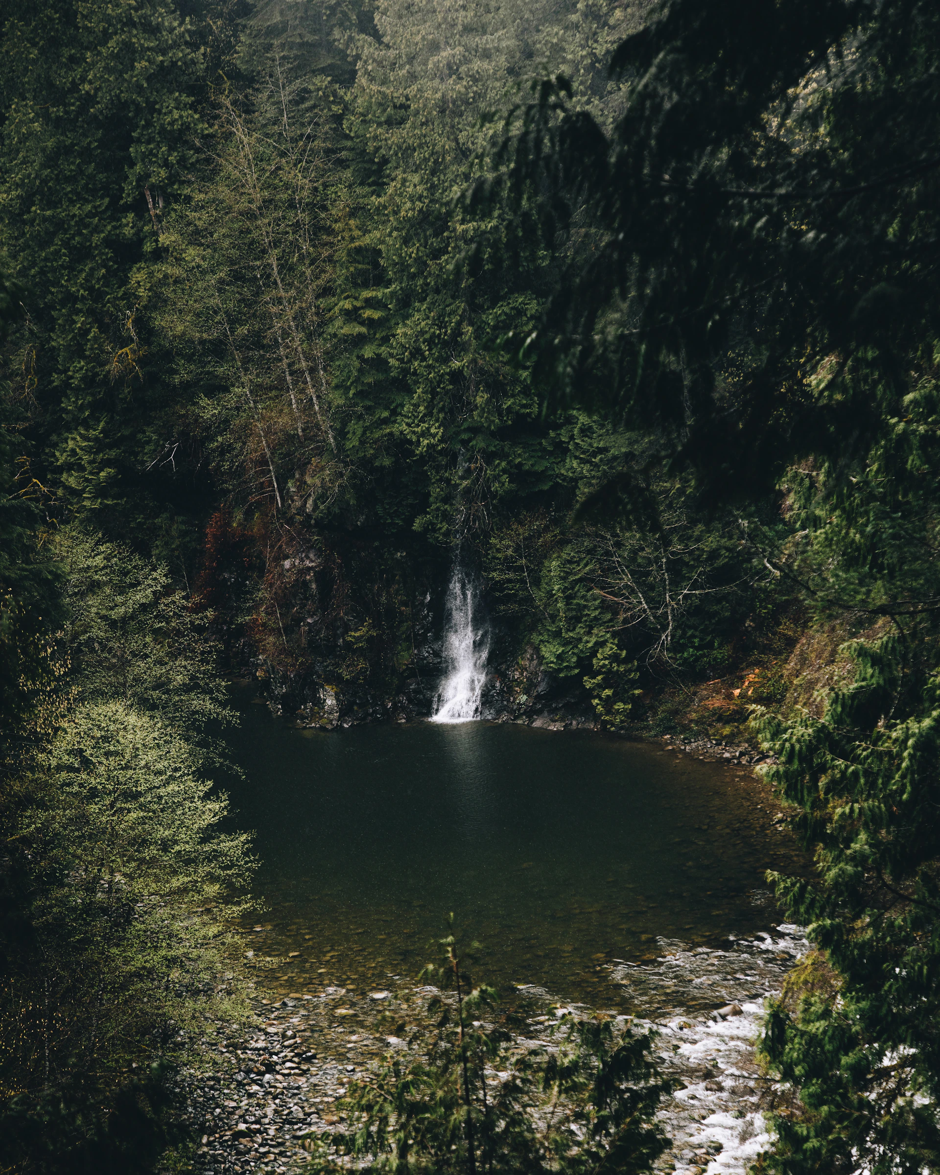 a large body of water surrounded by trees