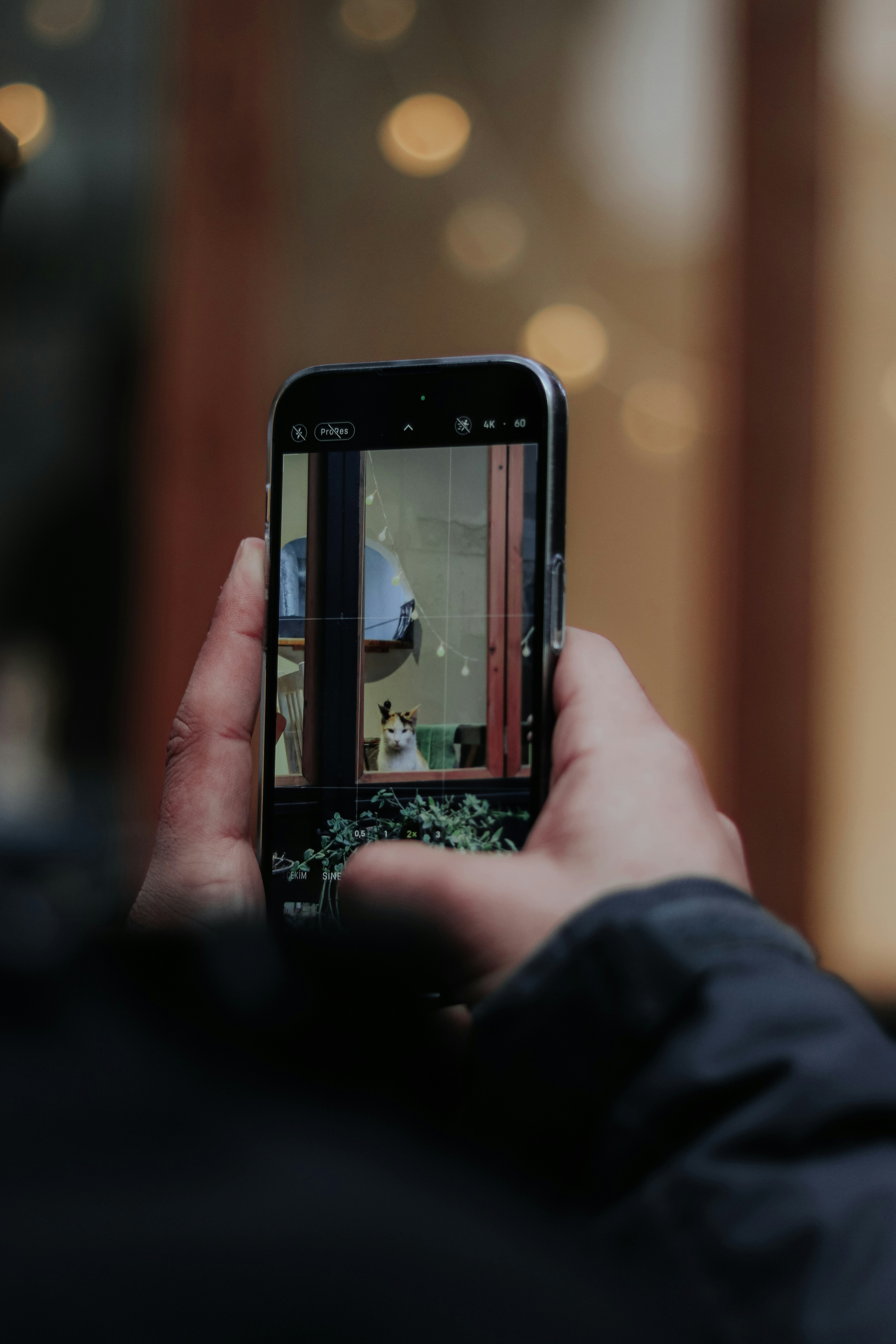 xem bóng đá trên điện thoại → Bí quyết xem bóng đá mượt mà trên điện thoại mọi hệ điều hành