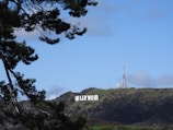 A landscape view featuring the iconic Hollywood sign on a hillside. Surrounding the sign, lush green hills are visible under a bright, clear blue sky. In the foreground, tree branches add a natural frame to the image. A tall communication tower stands near the Hollywood sign.