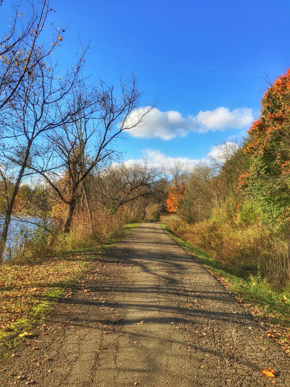 a dirt road surrounded by trees and water