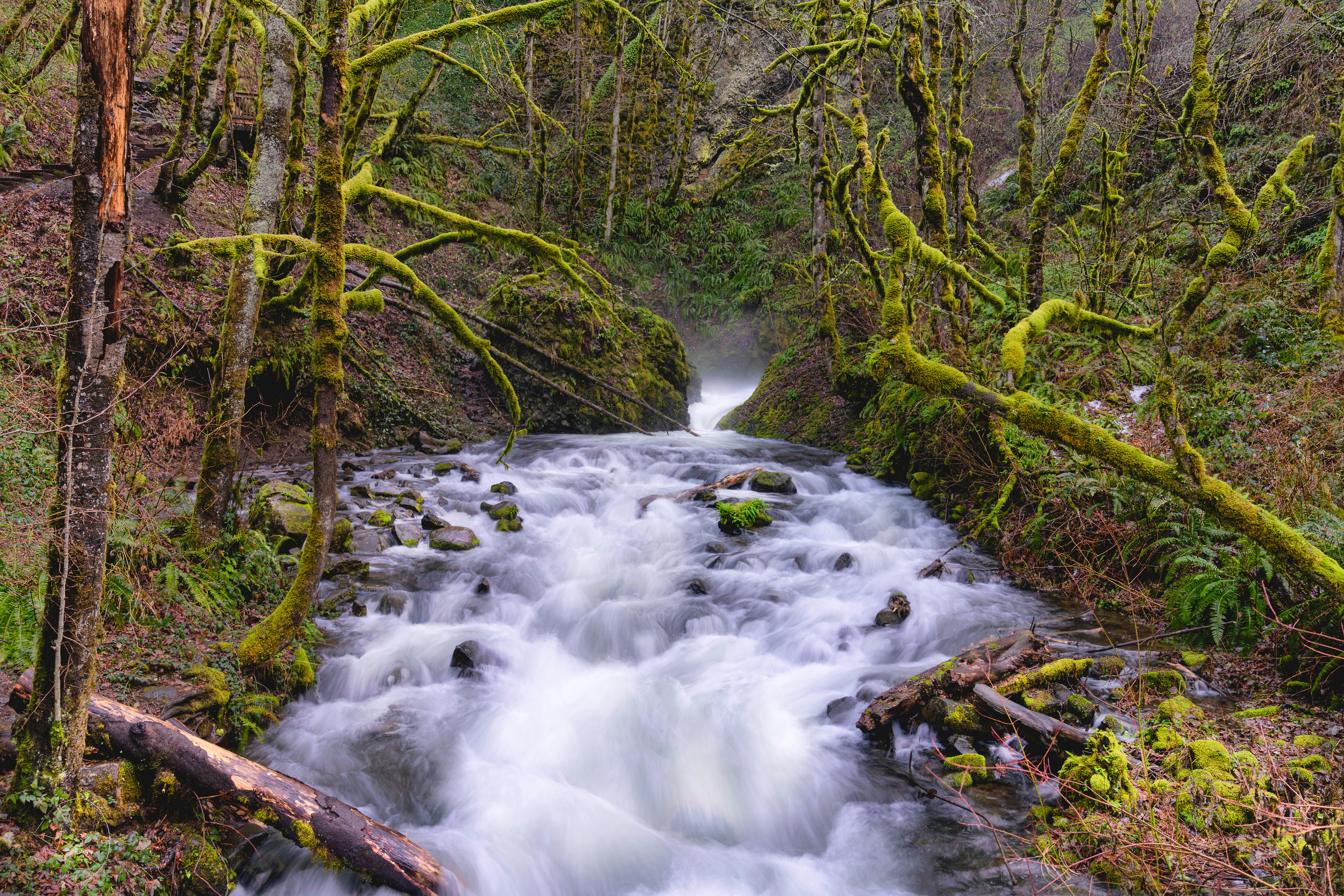 Photo by karthik_sreenivas