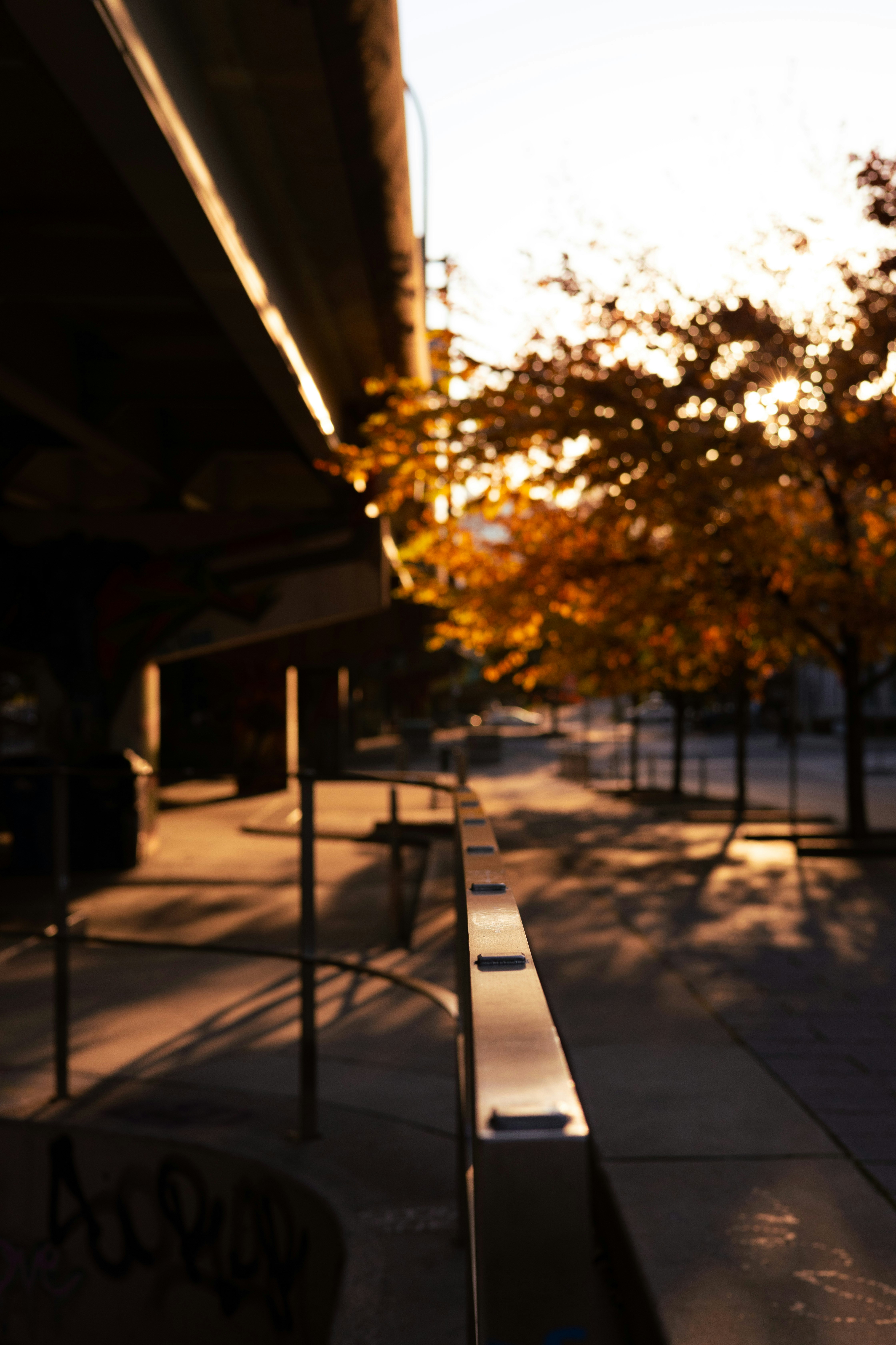 a skateboard park with trees and a bridge in the background