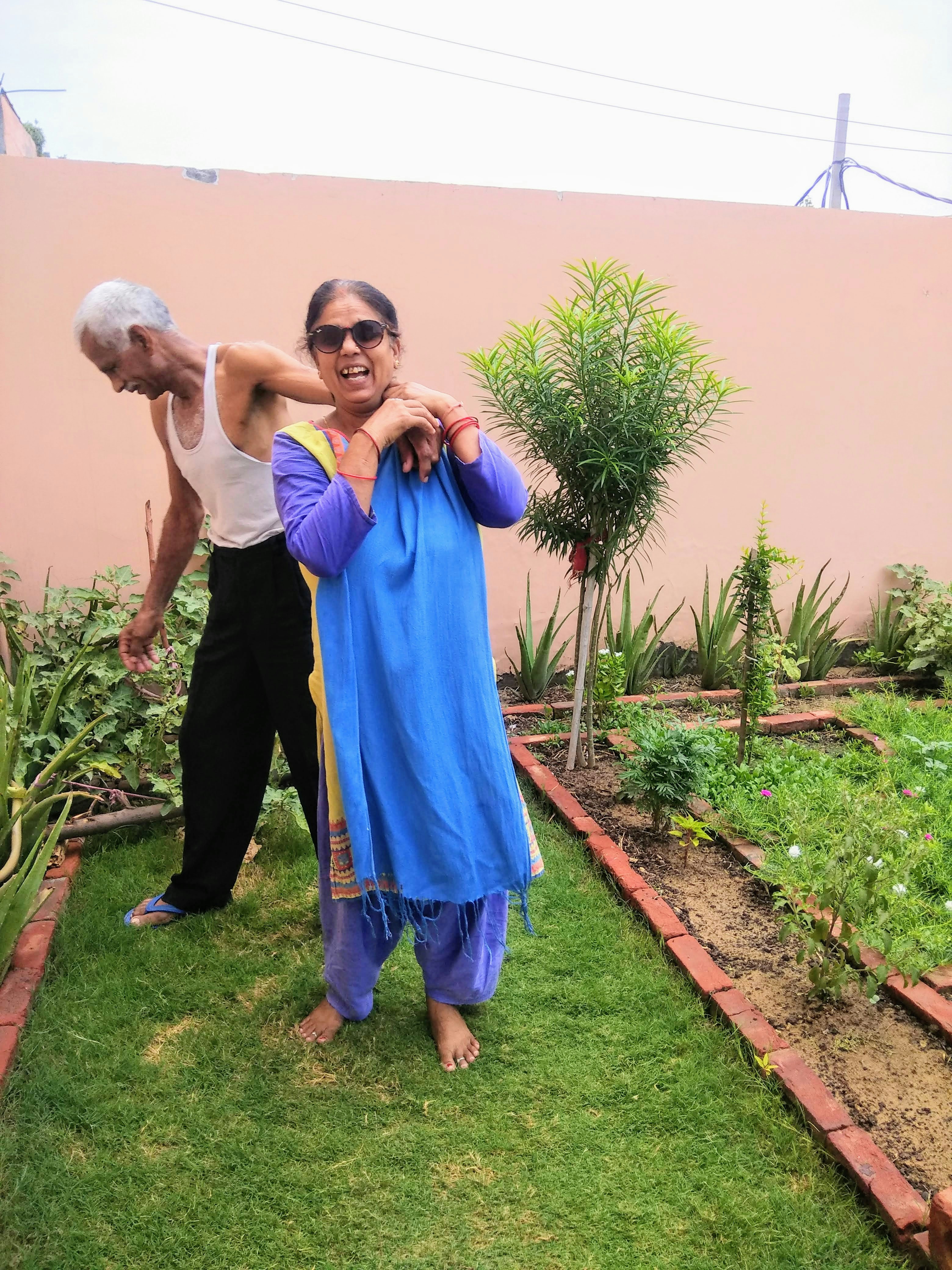 Gardening tools for seniors: Essential safety tools for a joyful and secure gardening experience