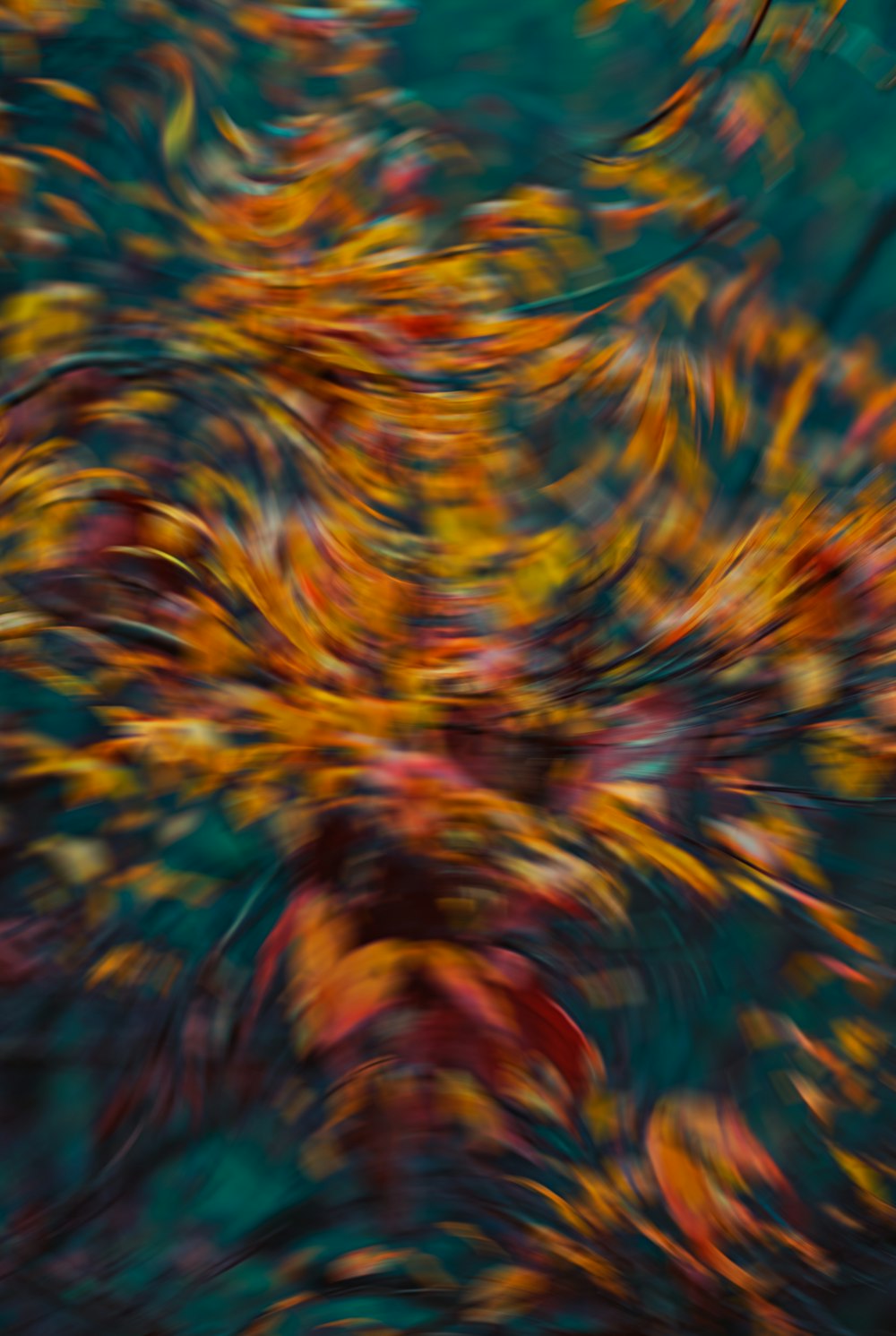 a blurry photo of a bunch of leaves