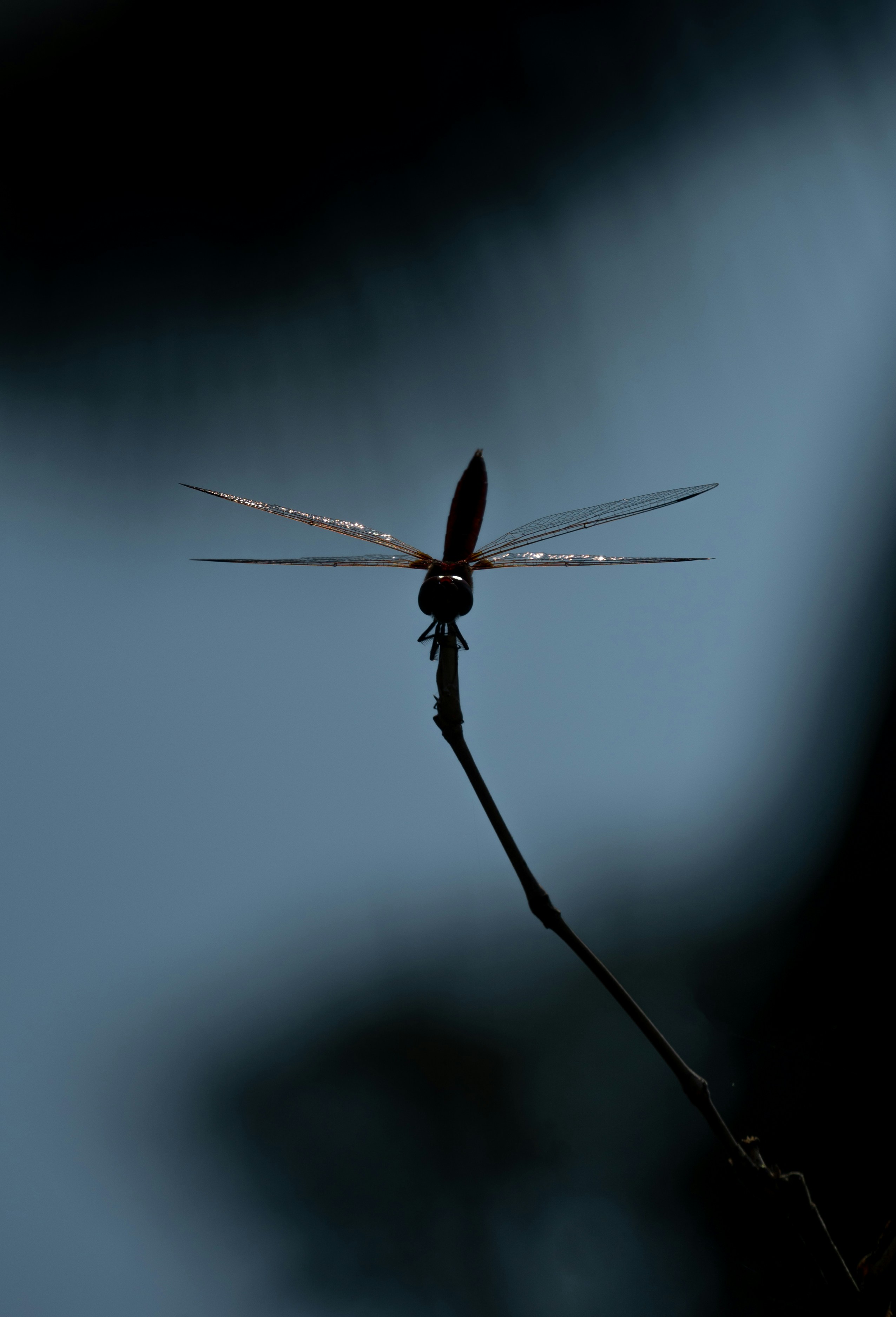 Photo by adiiipatel09