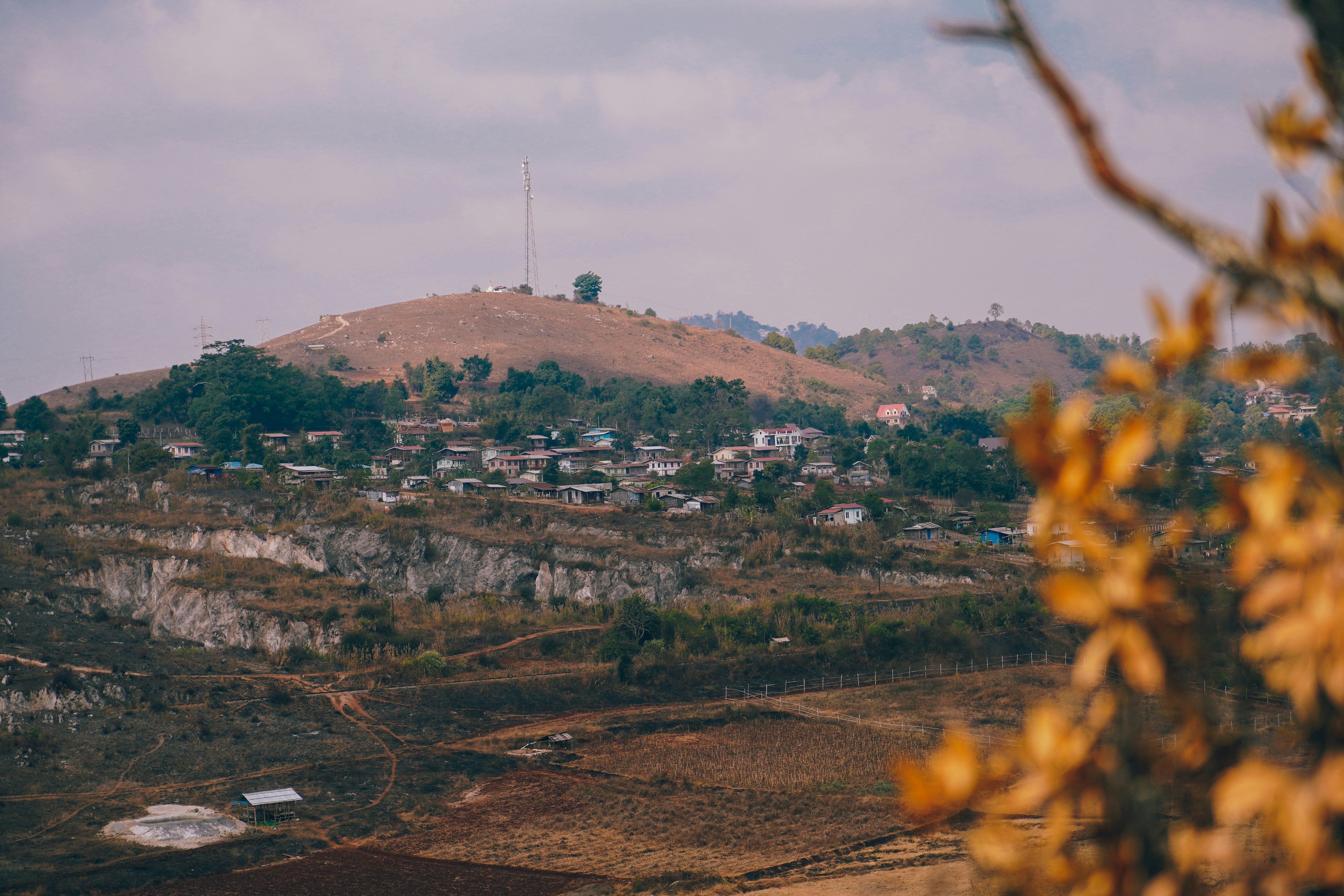 Photo by apertureblade