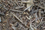 Close-up of sustainable biomass feedstock ready for processing.