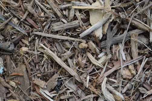 A close-up view of a mixture of dry wood chips and twigs. The components are various shades of brown and beige, showing a rough texture with small fragments and splinters.
