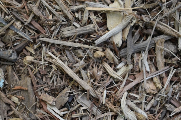 A close-up view of a mixture of dry wood chips and twigs. The components are various shades of brown and beige, showing a rough texture with small fragments and splinters.