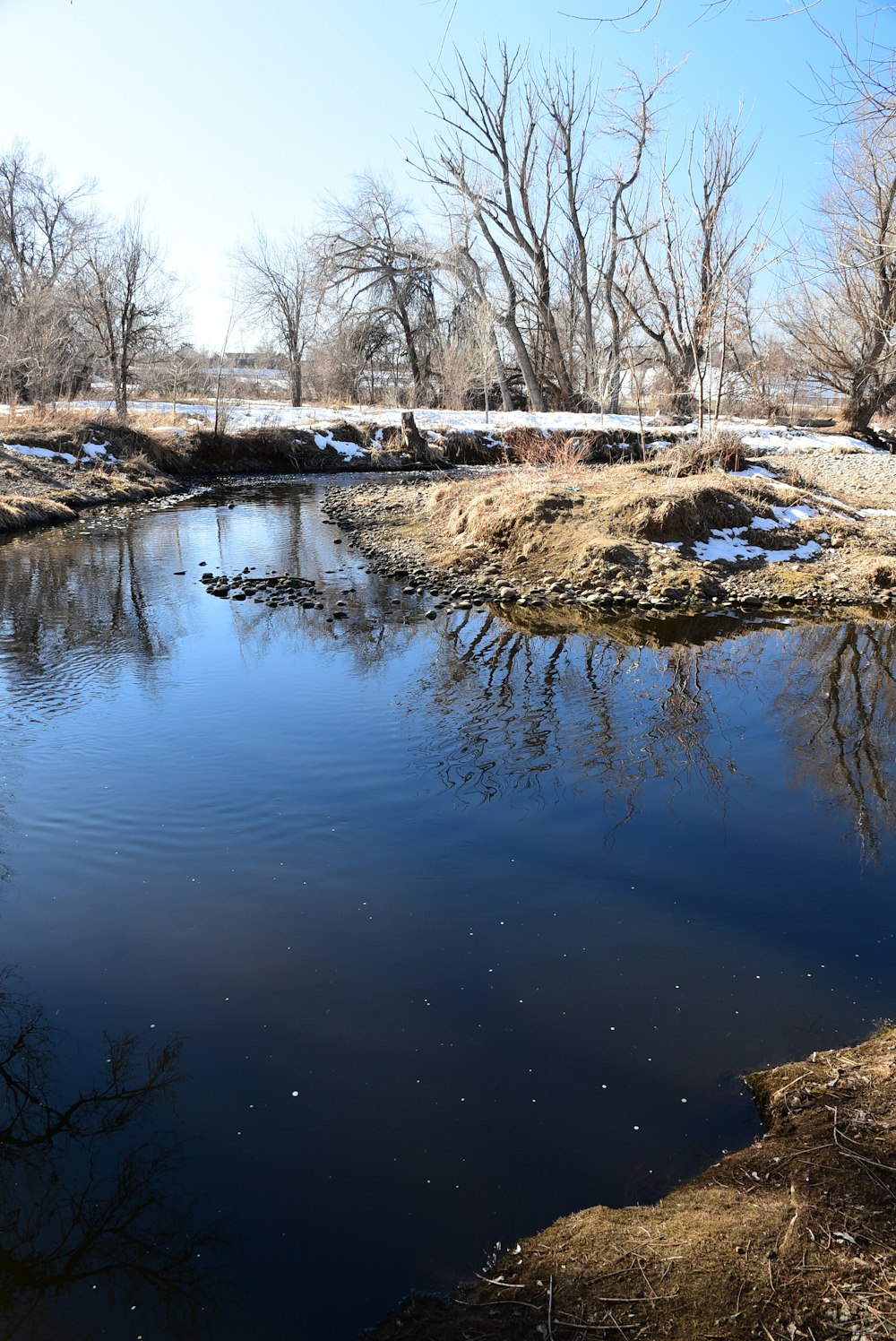 a body of water surrounded by trees and grass