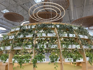 A large, indoor structure with wooden frames supports numerous potted plants arranged in a circular, tiered formation, thriving under a bright, industrial ceiling with wooden circular ceiling panels.