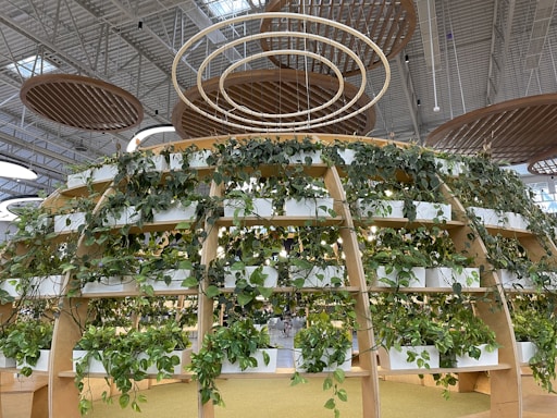 A large, indoor structure with wooden frames supports numerous potted plants arranged in a circular, tiered formation, thriving under a bright, industrial ceiling with wooden circular ceiling panels.