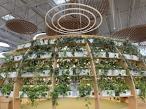 A large, indoor structure with wooden frames supports numerous potted plants arranged in a circular, tiered formation, thriving under a bright, industrial ceiling with wooden circular ceiling panels.