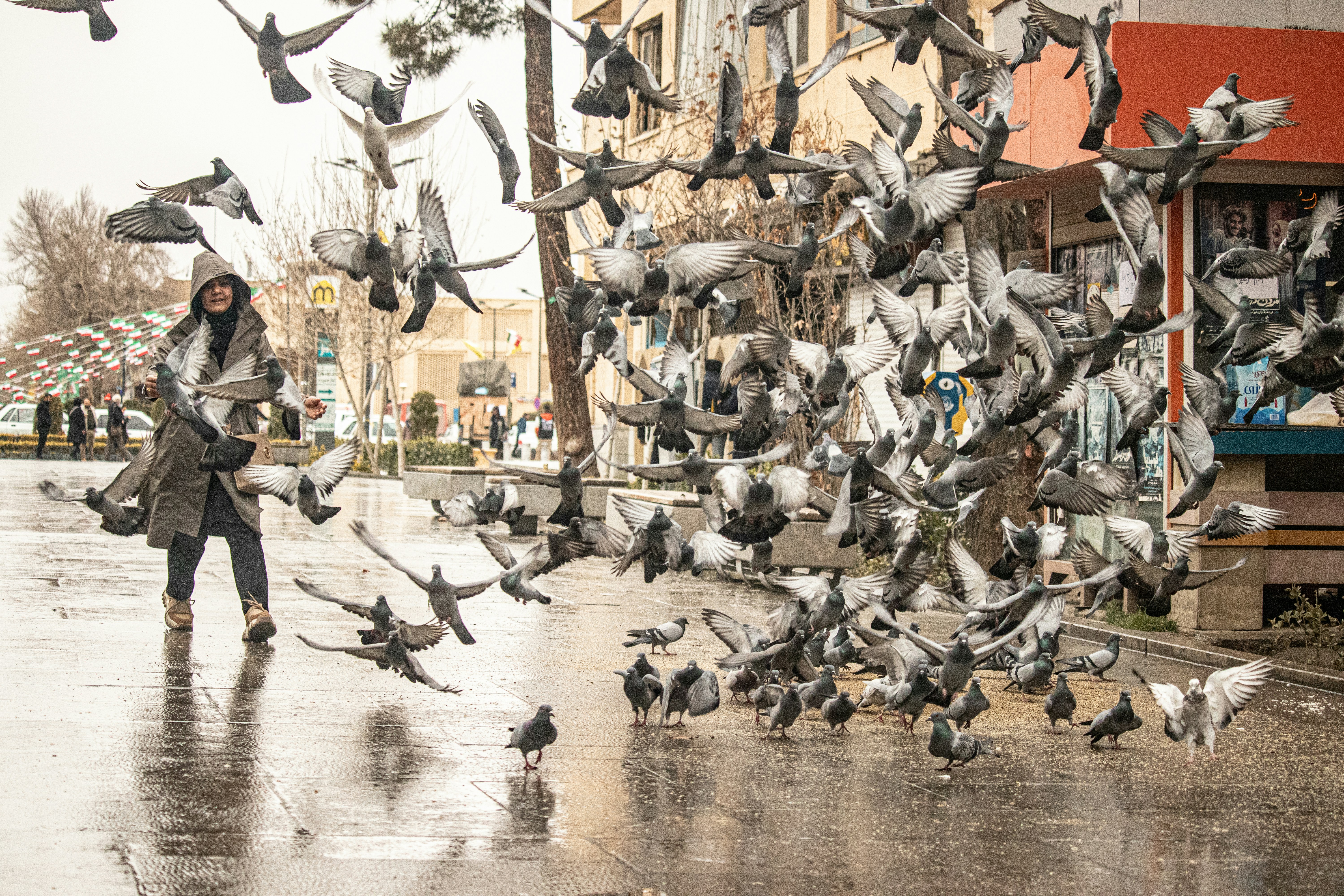 Photo by sinabahar76